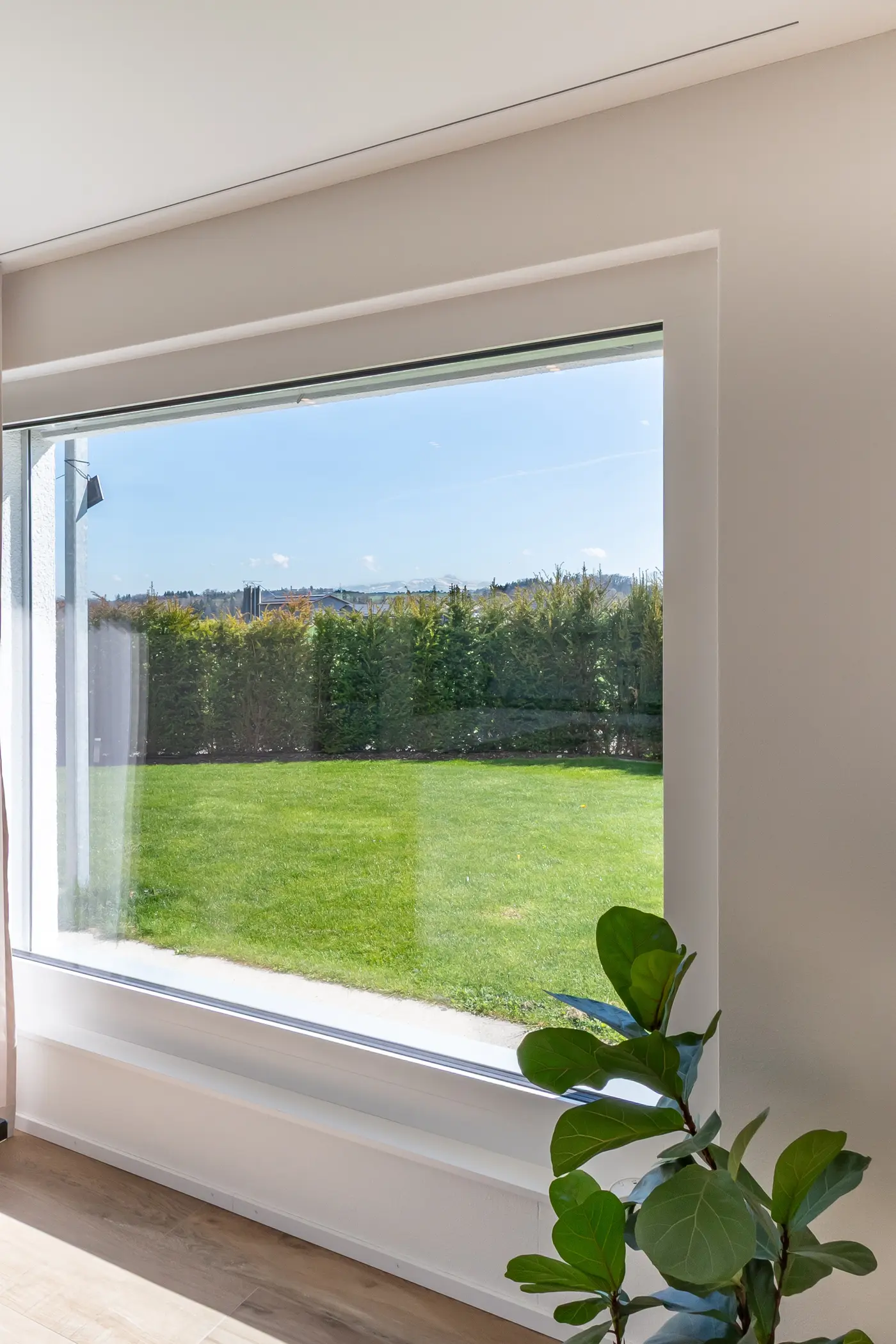 62aab3f8-1630-47eb-be47-b95f7541fec9_original.jpg?c=da546047ea604ec58b0717b6b6f0736a