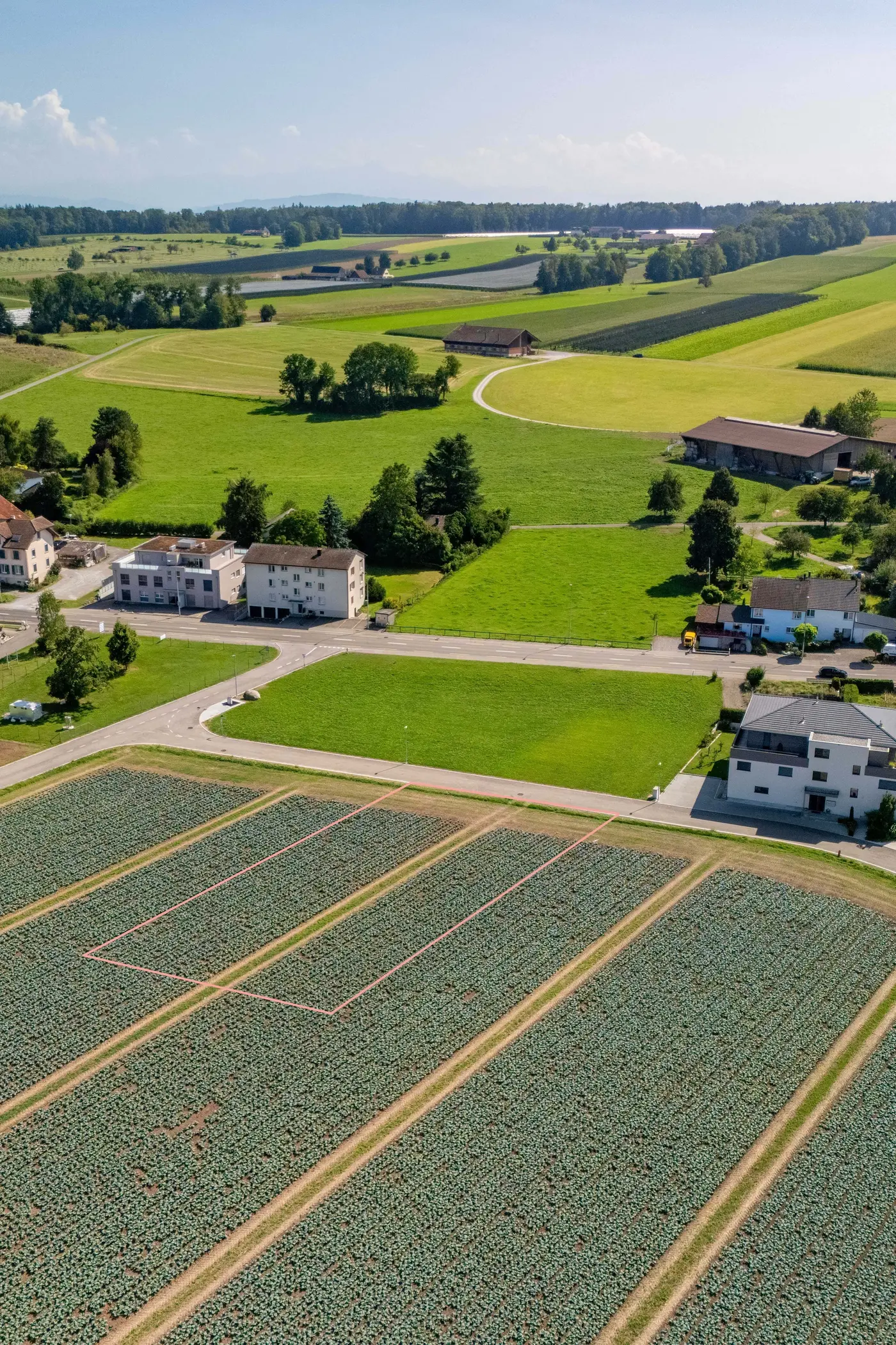 66f426a6-e388-4501-ada4-d62e521bedf3_original.jpg?c=0e781b13cd48438f8d583fb2b87edaa6