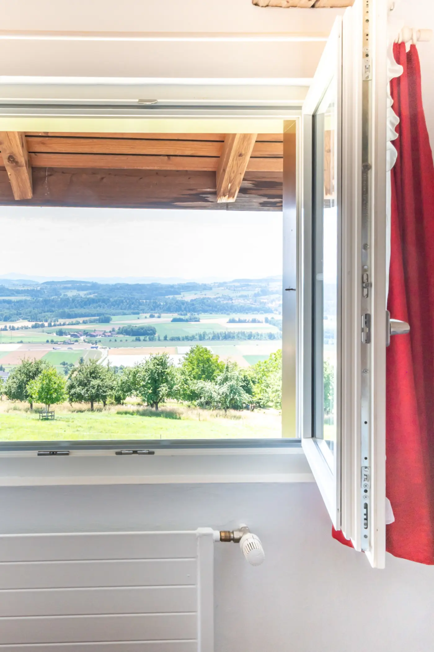 671832b0-e819-4c5c-b472-6ed88aaa3d99_original.jpg?c=84a7c7cd0882414bb2bfdb44f5383972