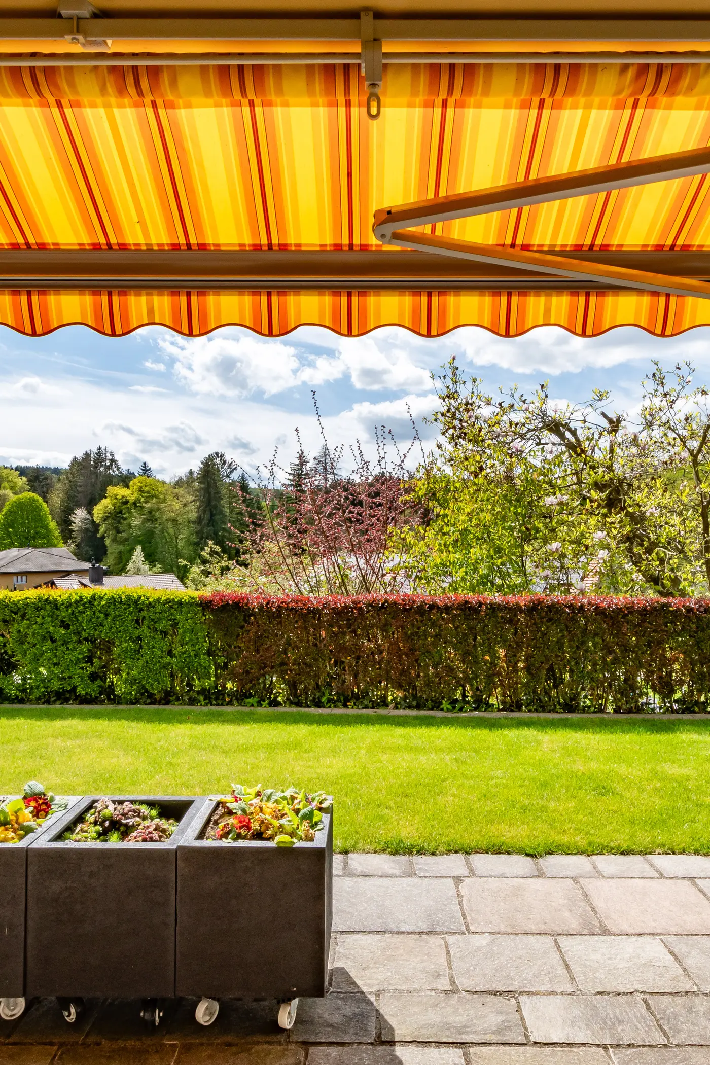 6732c4cb-95e9-4528-b6cd-000a5322733d_original.jpg?c=e11e6cad25604686a89c7eb457196d8b