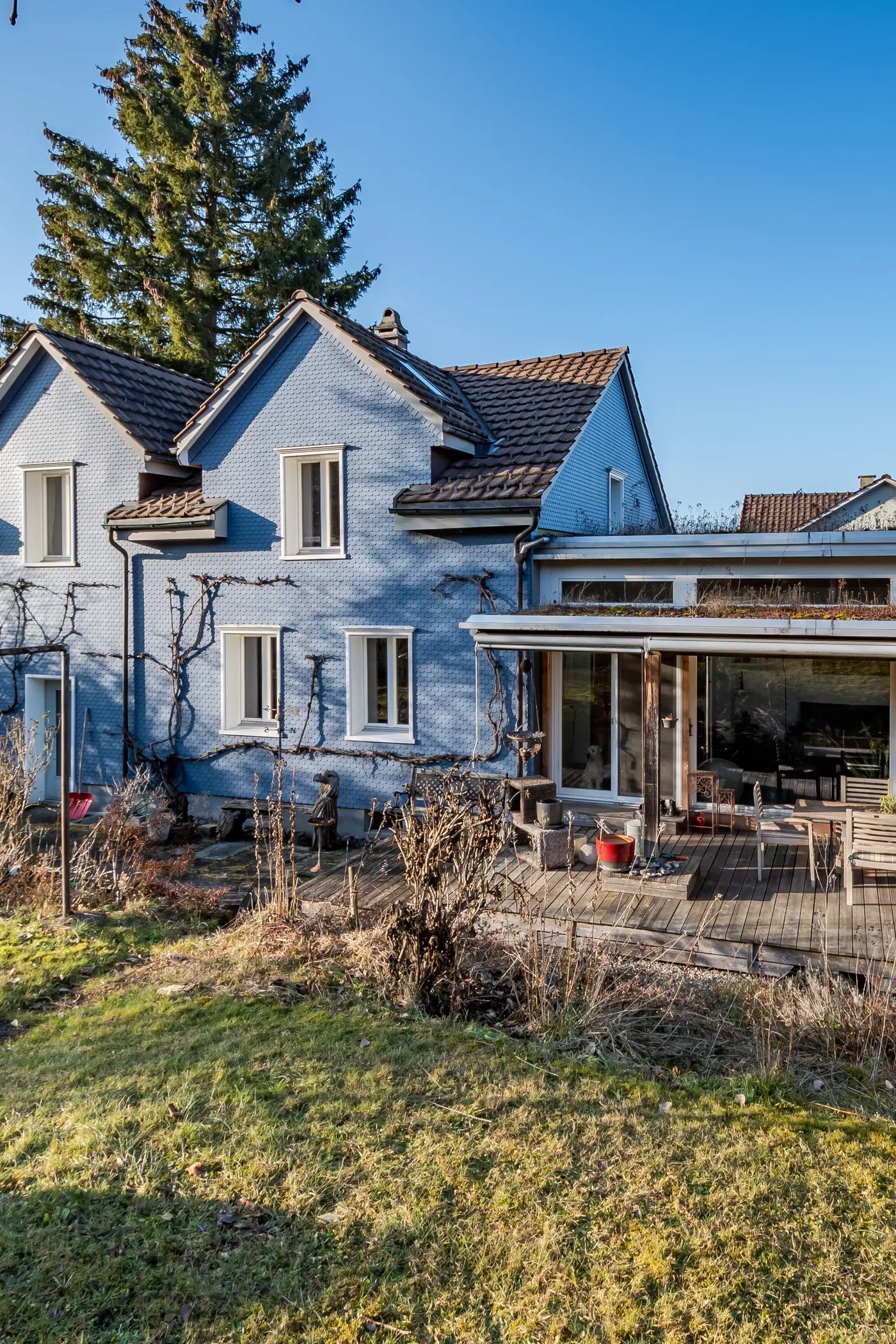 6a8f7c93-bb09-41ea-af26-04cf91b9670c_original.jpg?c=e526c7730a0c4cb4bf77661334c9915a