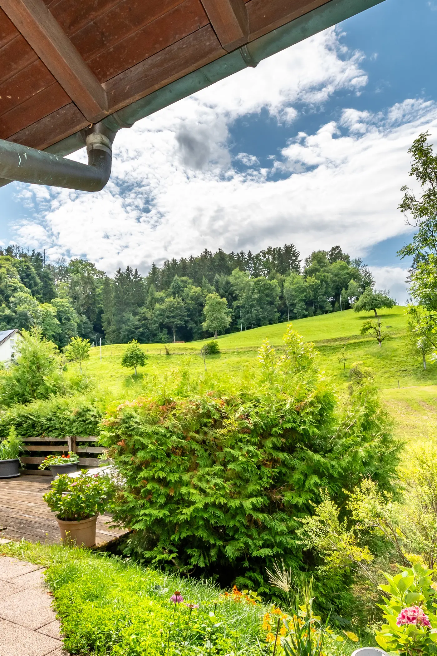 6aff61ed-6651-4613-8809-e40dc9cc26c4_original.jpg?c=e42c1163b98f4742a33c00f8fe3fe477