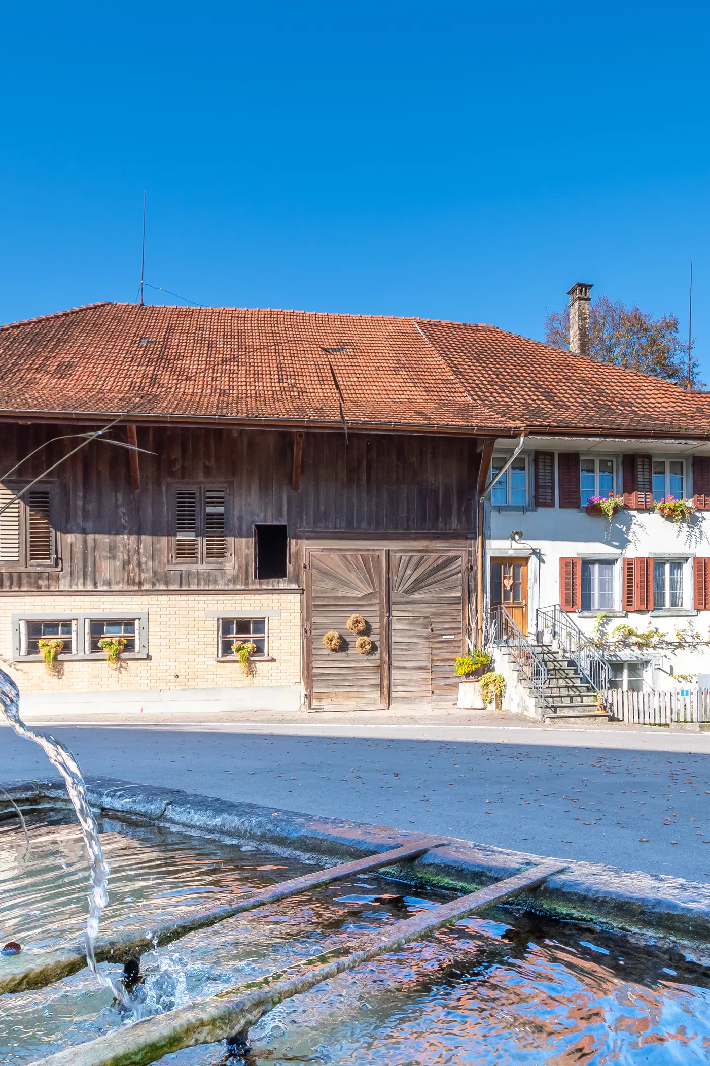 6c2cfaea-9355-4bf6-b095-8b71ef026838_original.jpg?c=b4c1ad9d2efe46ccab3e66c47a5edc99