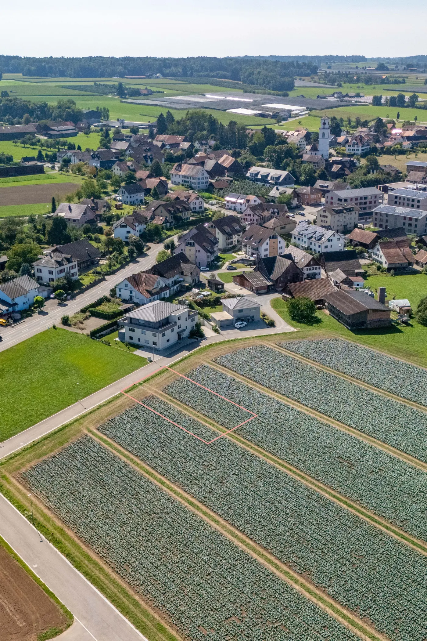 71eb3076-cd1e-4636-b982-eb9d5c5a0d15_original.jpg?c=1f80e851b71e453da81ca0fa832f1fee