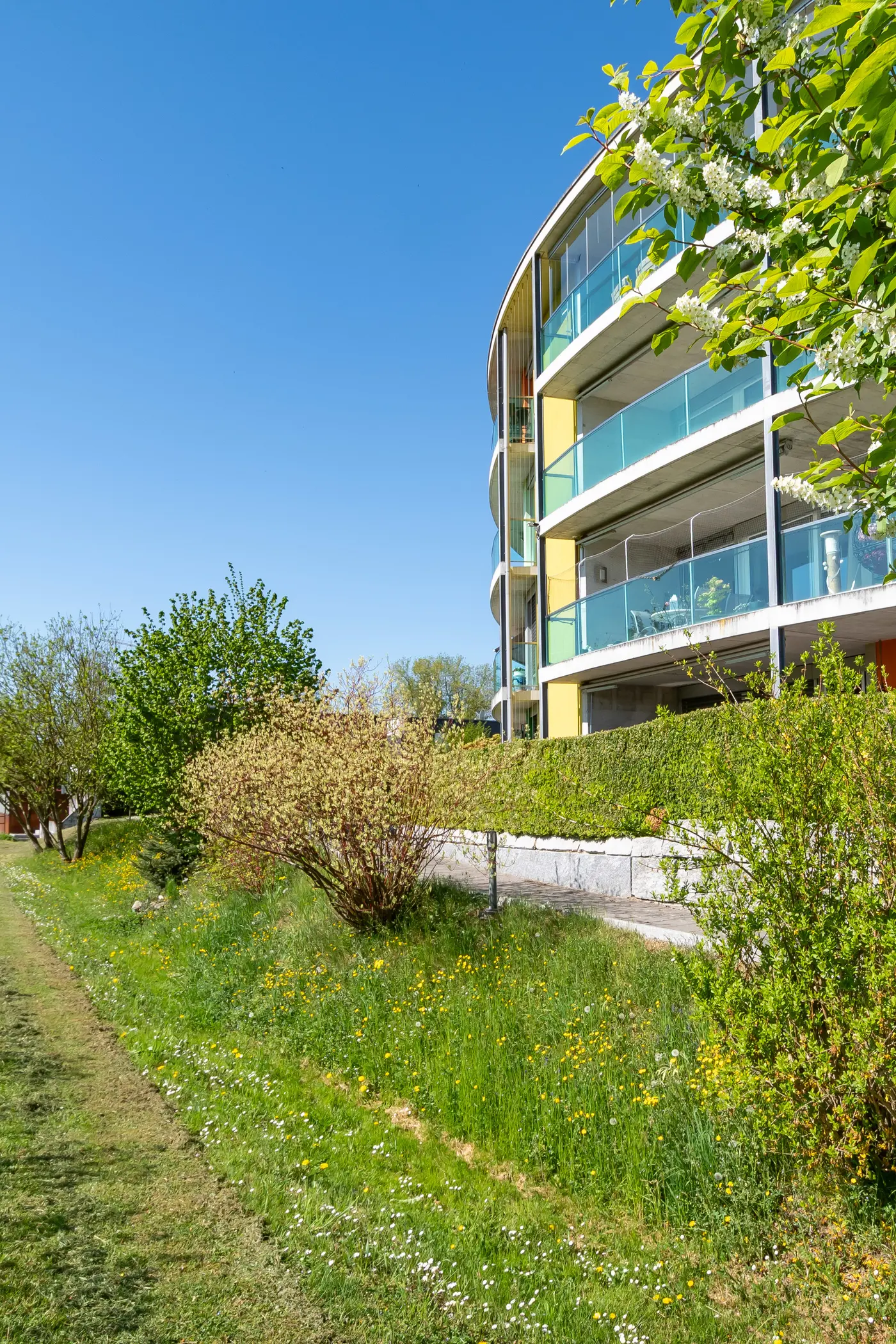 77ff3fca-442d-4f32-b103-f0fcf222a7cd_original.jpg?c=ac6bb97f4c1941cab9861514e2248246