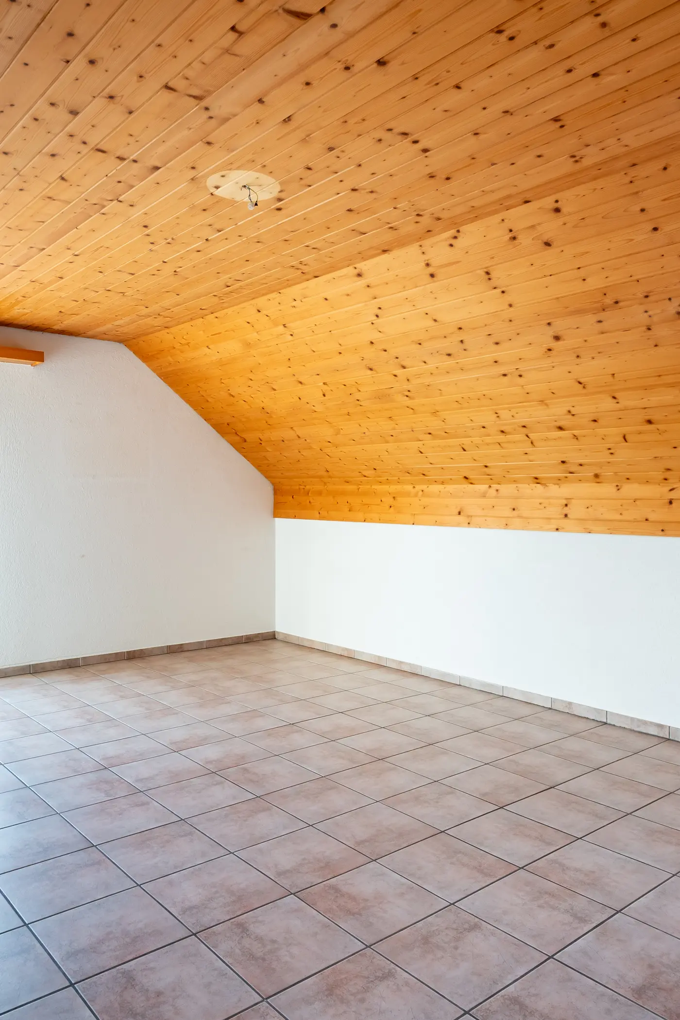 784901d0-4625-4bac-82a9-f0ba9c1b76c7_original.jpg?c=74760ea5e59441369d451defb33ffc70