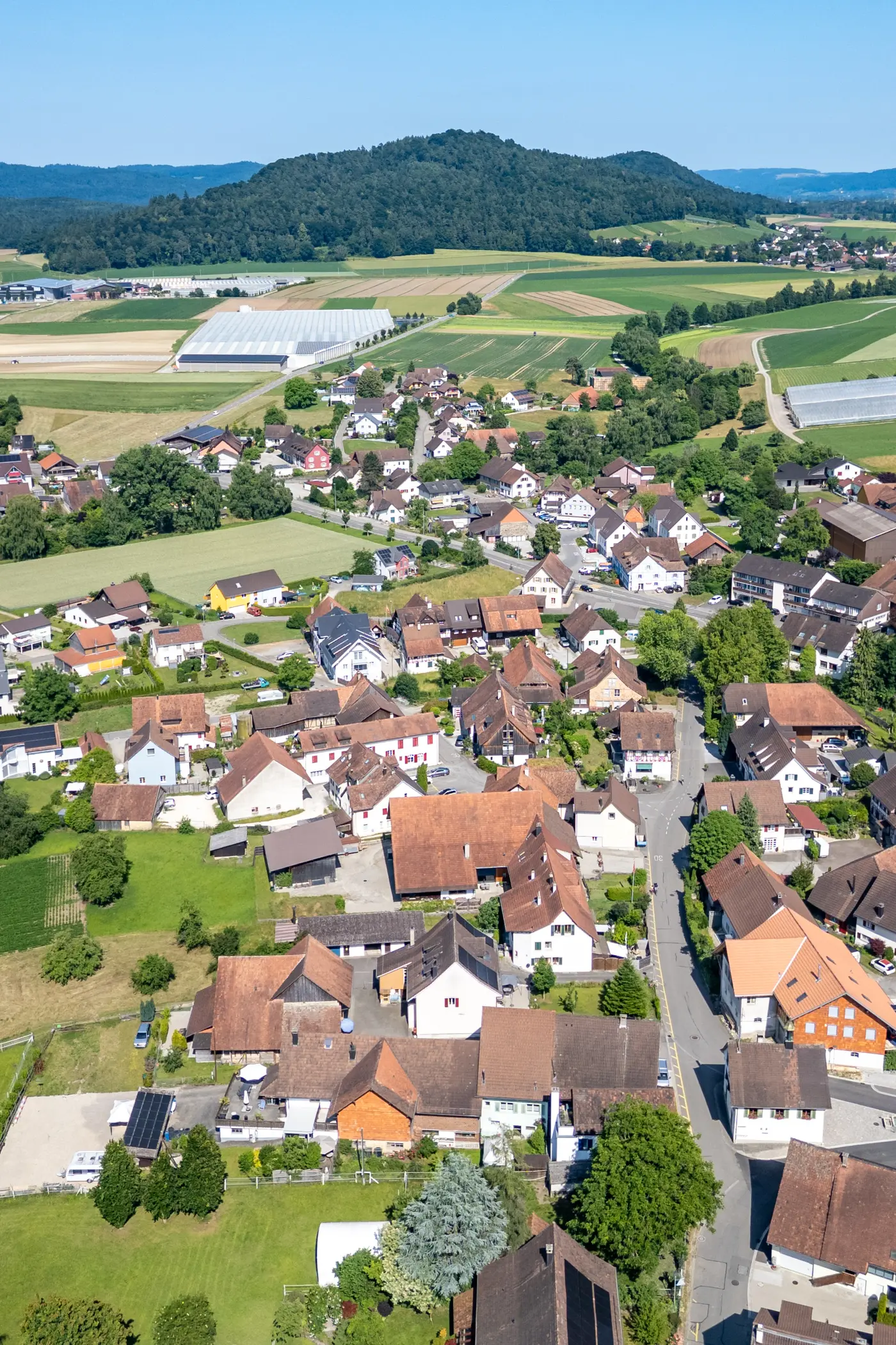 79a7743d-0848-4da1-a2ac-447c9095e072_original.jpg?c=213eed78729e451cb034f0c875204cd3