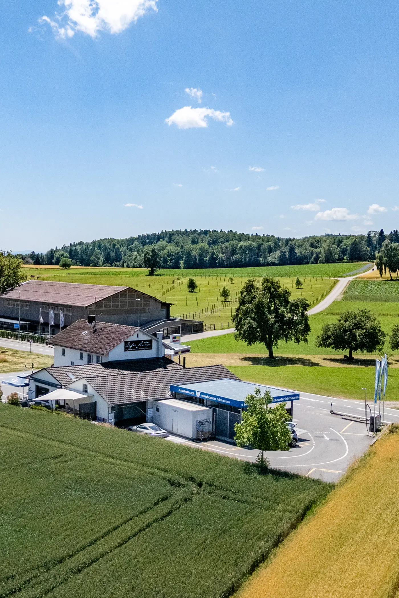 7a27d383-377f-48a0-9aa2-53234dc63fe8_original.jpg?c=8f9f4827c75f4b429169c9f2d24594e6