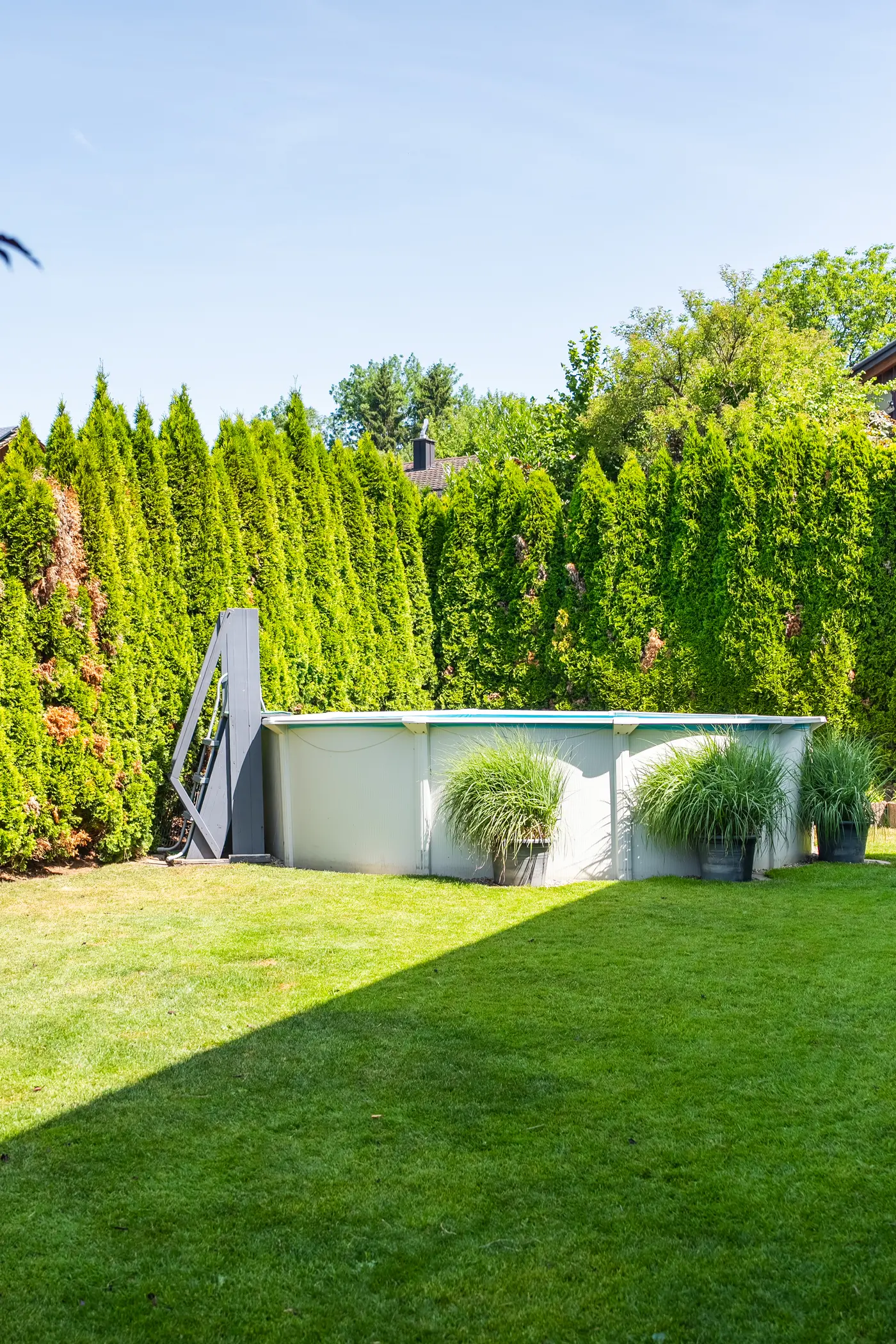 7d33f202-2f93-4fc5-834a-81da02f01088_original.jpg?c=df7393a1a9404d60b4e9e82a9f08674d