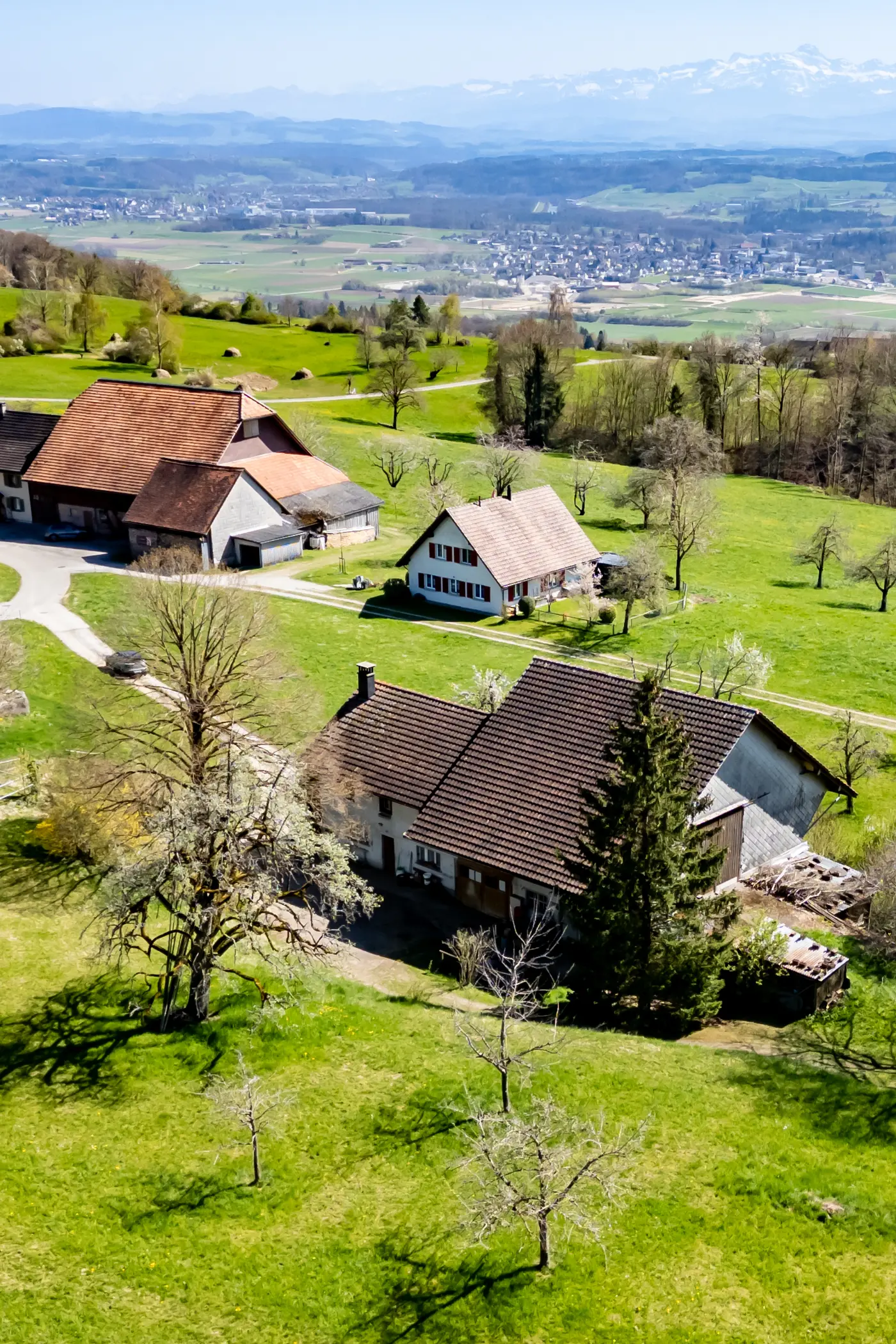 7dcaaa4c-c3c6-424e-af67-363349a77567_original.jpg?c=f078a37fb2694cec9c1d93f96f567a71