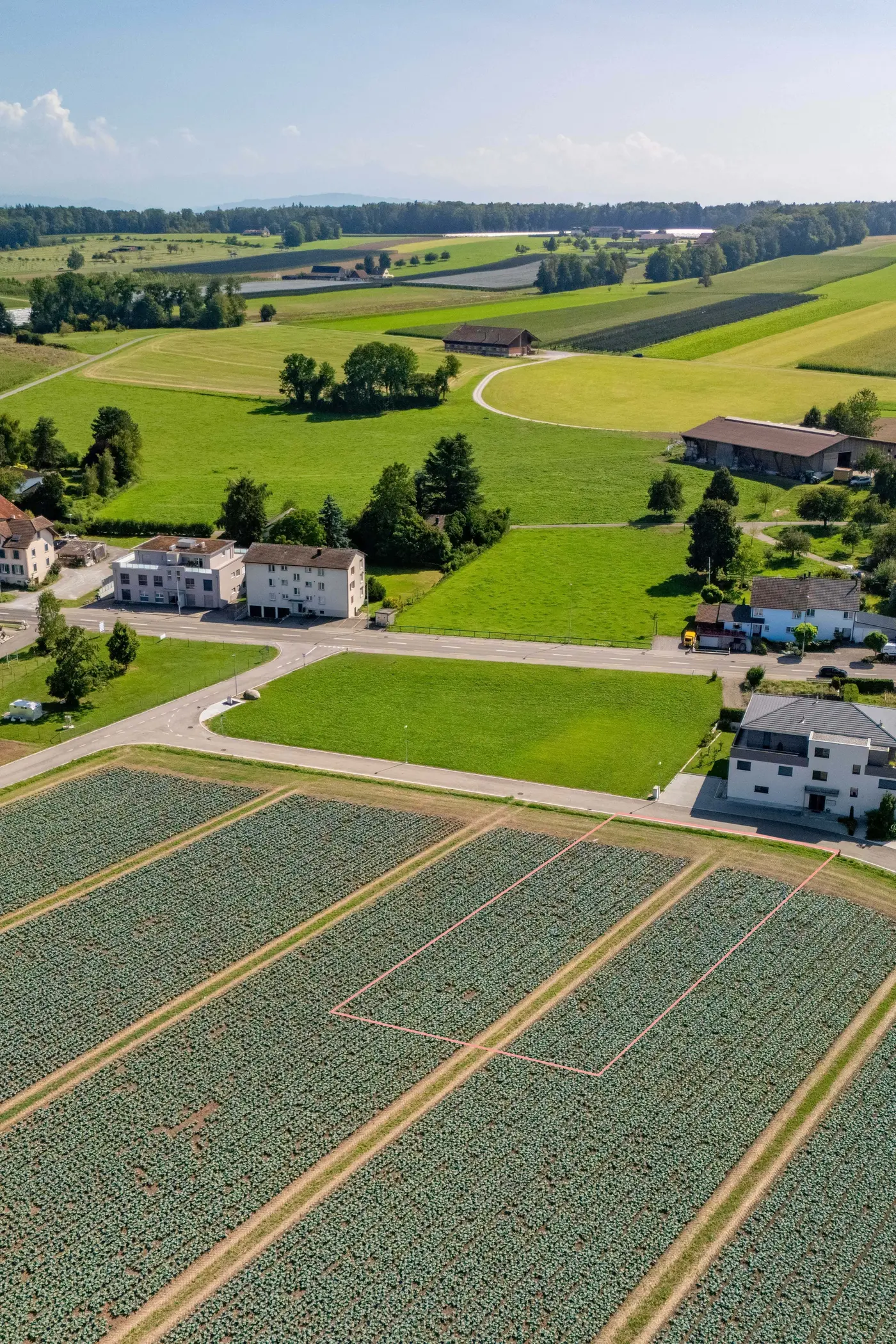 81dd50cd-5d7b-43d2-a4d8-3bee401f52e3_original.jpg?c=27eb120e8af942aab5c87e0604d4659c