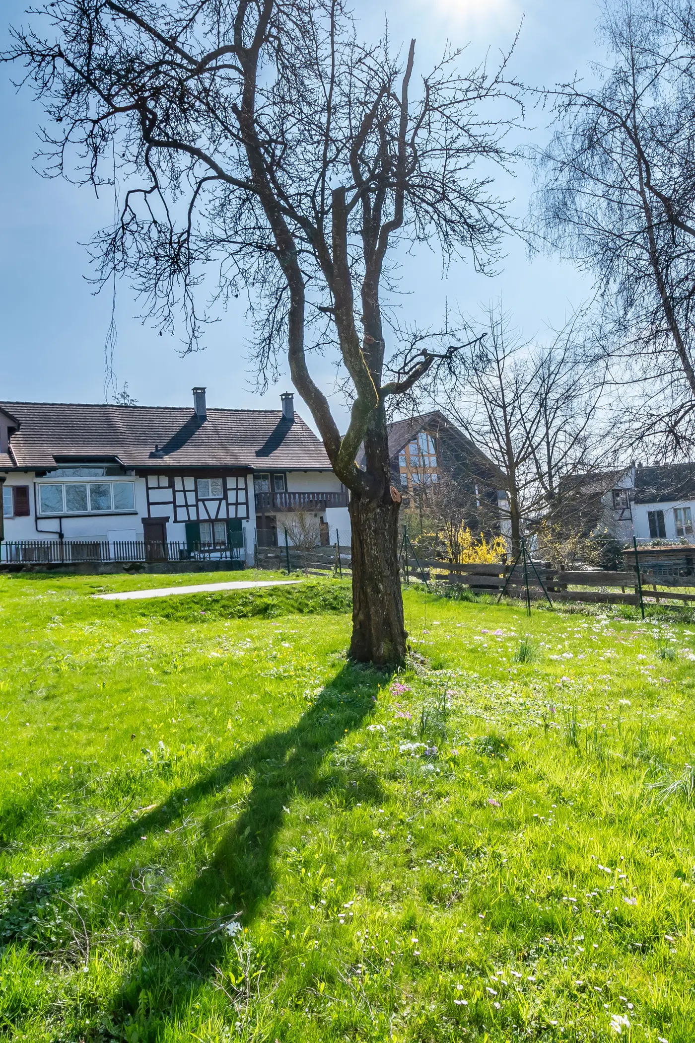 839e549c-120b-40a0-84a0-4c9ce1b789fb_original.jpg?c=3950be0c900c4d86a7399009595e7212