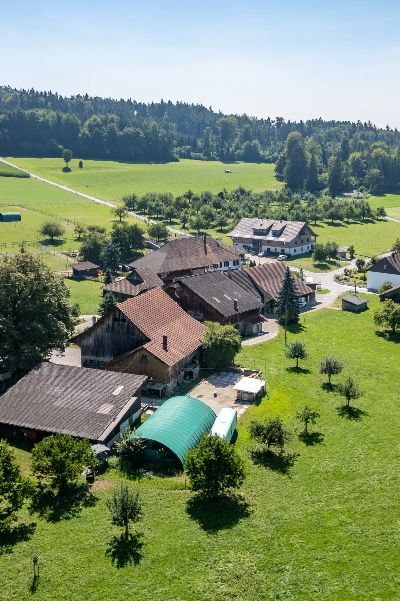 85e9d151-6c8a-46f9-9dab-ba309251ec6a_original.jpg?c=34fac1907d6d416c908df1c5cde824d3