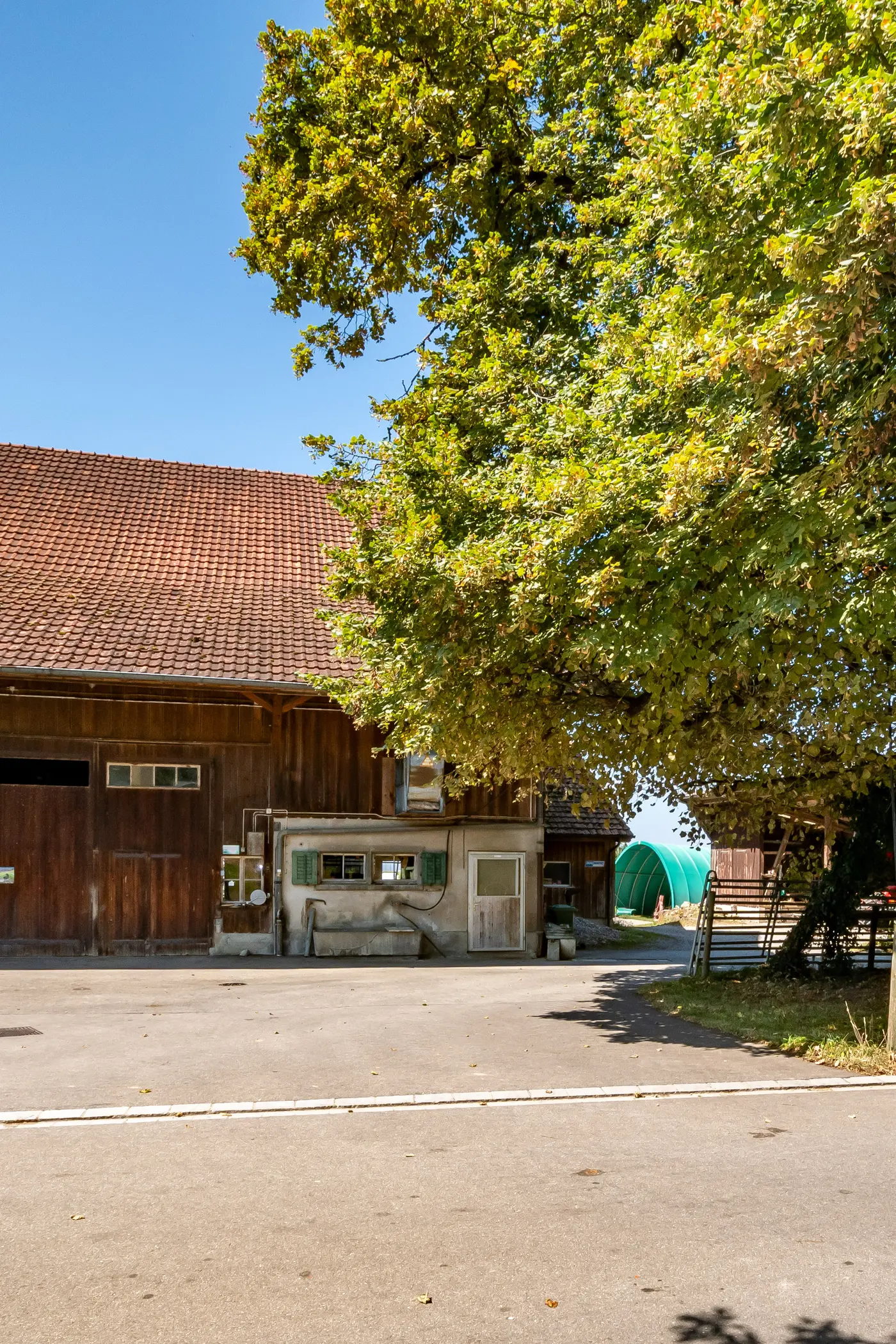 97ace000-603c-418f-afdd-7c8075f886bf_original.jpg?c=1c14752004d24997b15b44da014c7b37