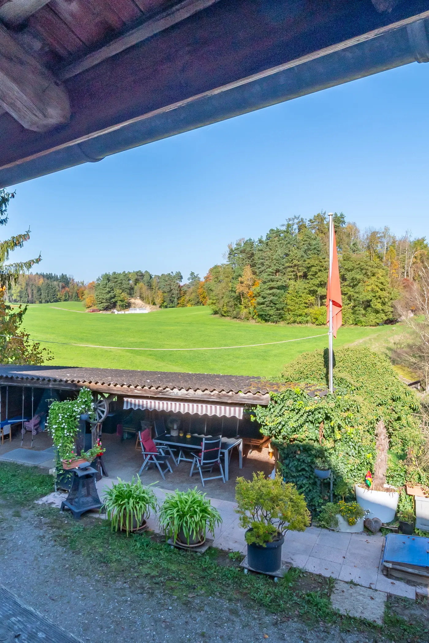 980d03df-aa9d-43b7-a0ae-c7a319cf43b1_original.jpg?c=e23dfed5bead4b6da6dc1addaea0e50d