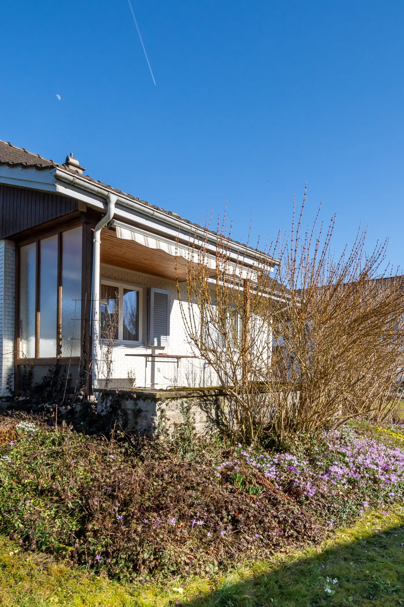 9a50b01a-6be4-4fca-b4f3-d54a6832e700_original.jpg?c=7a7aa8189581432f95b564259ecf86e7