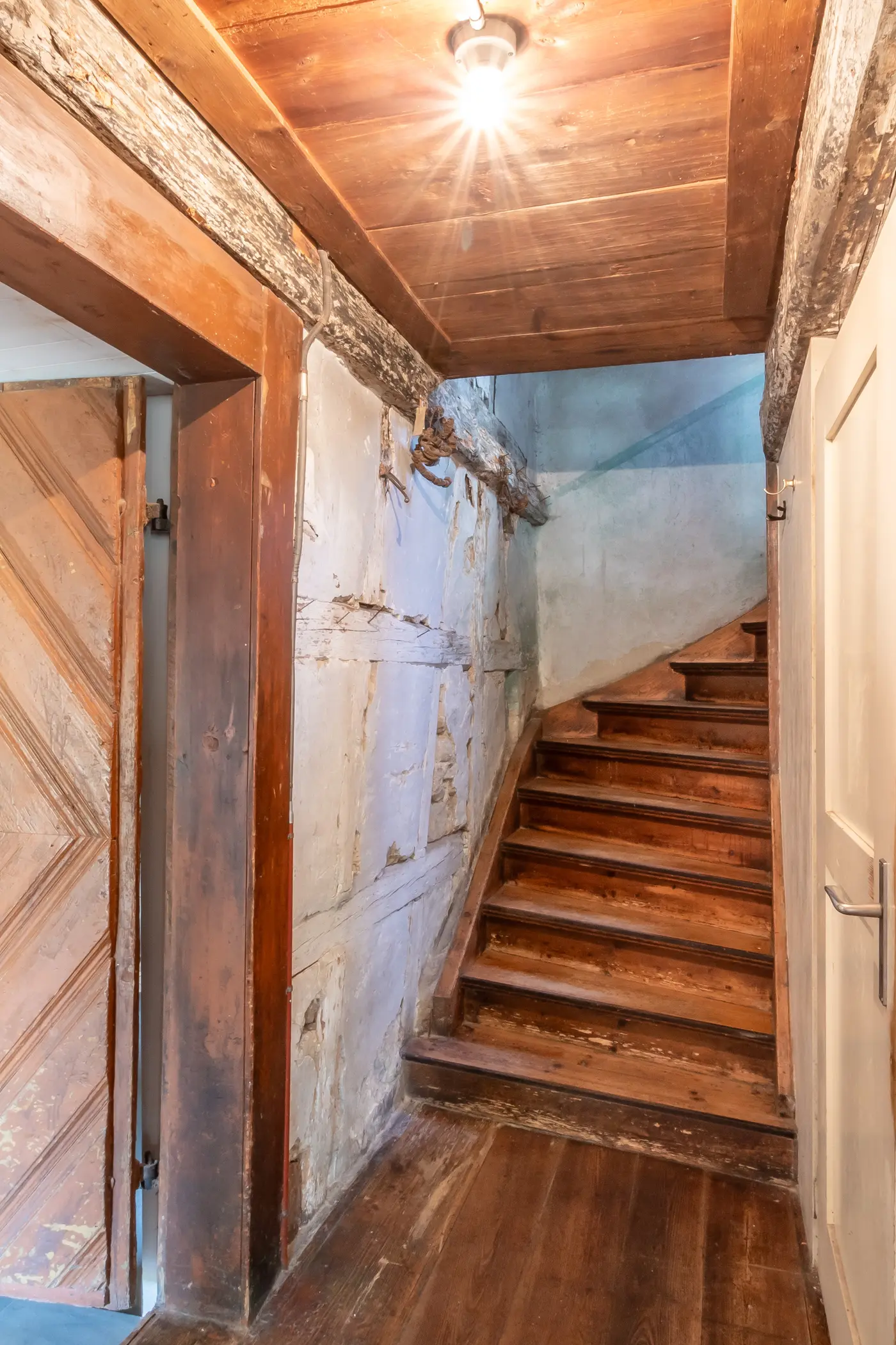 9d3d2d31-53f9-4a11-a5c7-1d63b1b6d6a3_original.jpg?c=4a9e5e16d22e43daa5eb0b87741bfee6