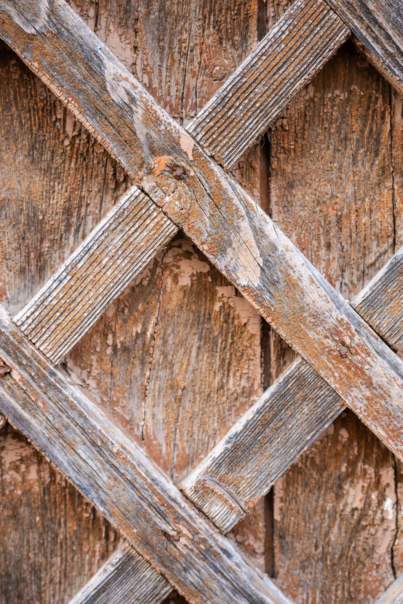 _57065_original.jpg?c=491a65e03da2457c8830d51e53bd8869