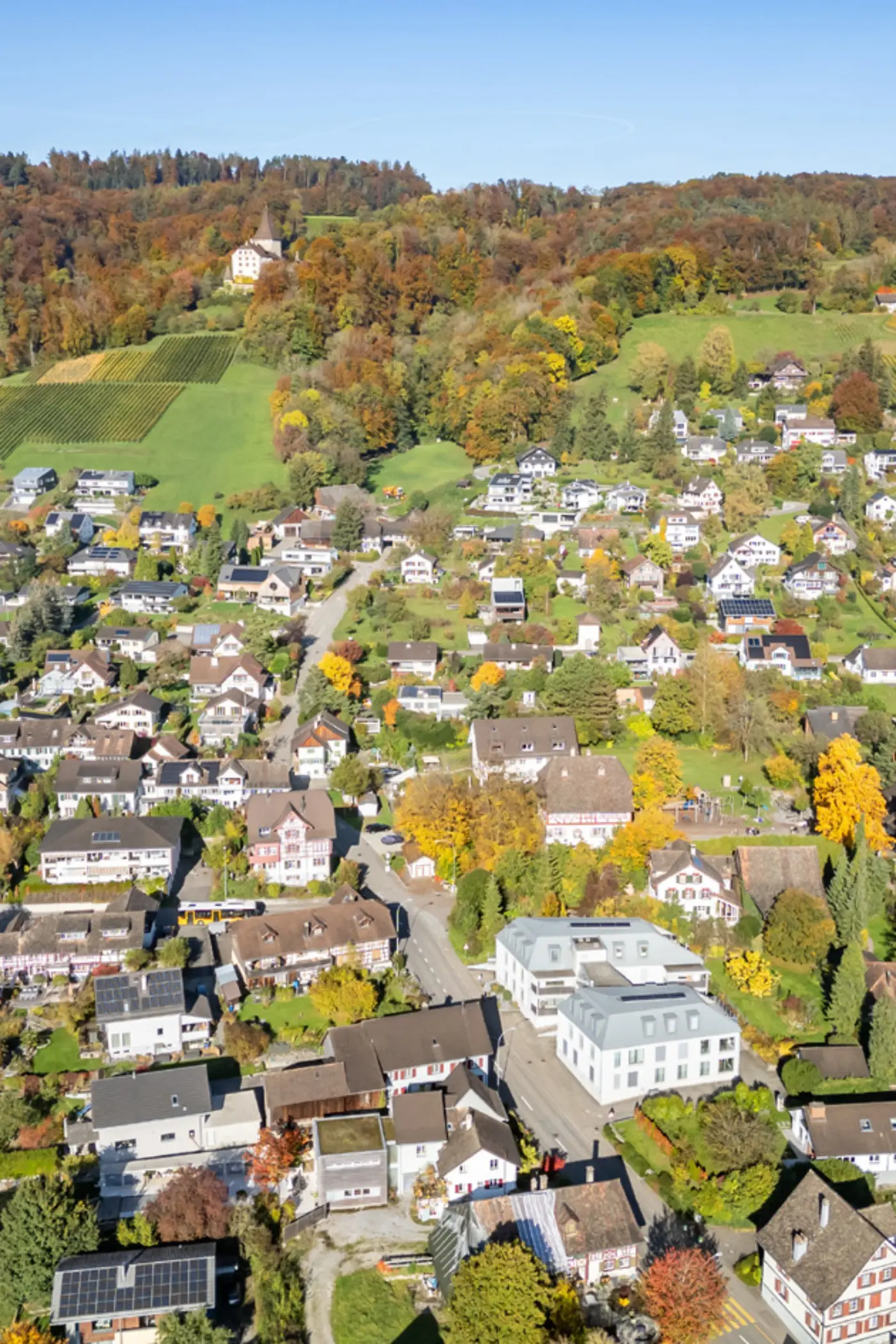 _57281_original.jpg?c=ac7d1ffb8cbe4b6db18dd97417d7897d