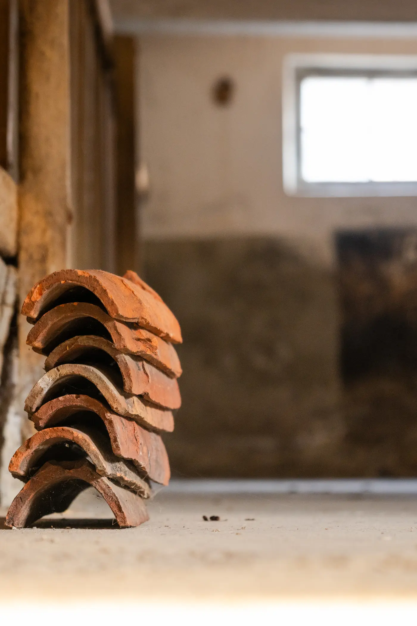 _57287_original.jpg?c=abc6052c6e214e719ccb04278204b8fe