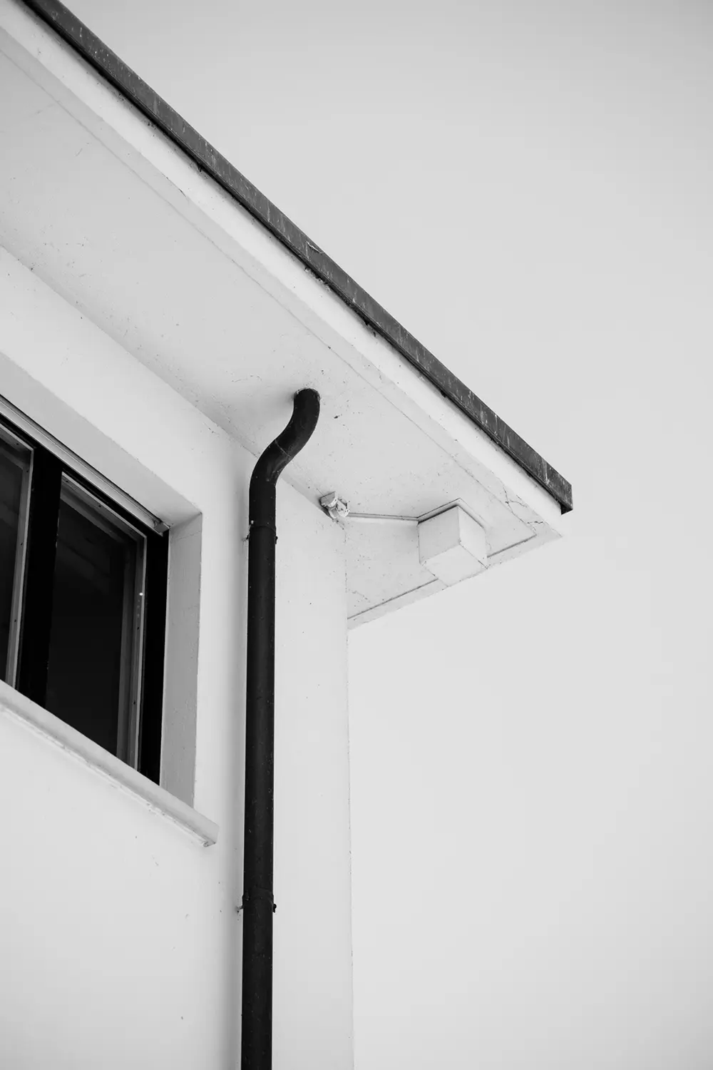 _62887_original.jpg?c=3c1b16c35c424a8eb6a312f6ee77cc17