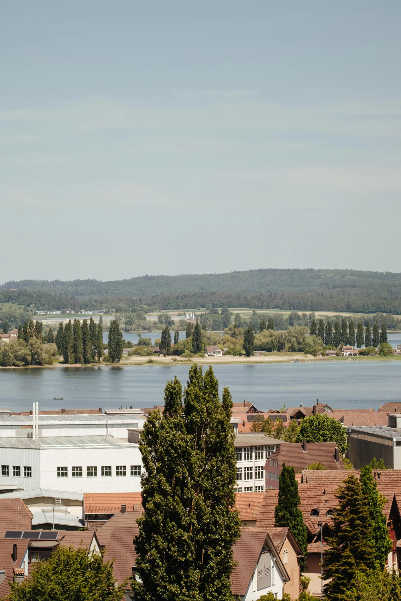 _62907_original.jpg?c=3eadc4b8651747df9f9bd868362f91ac