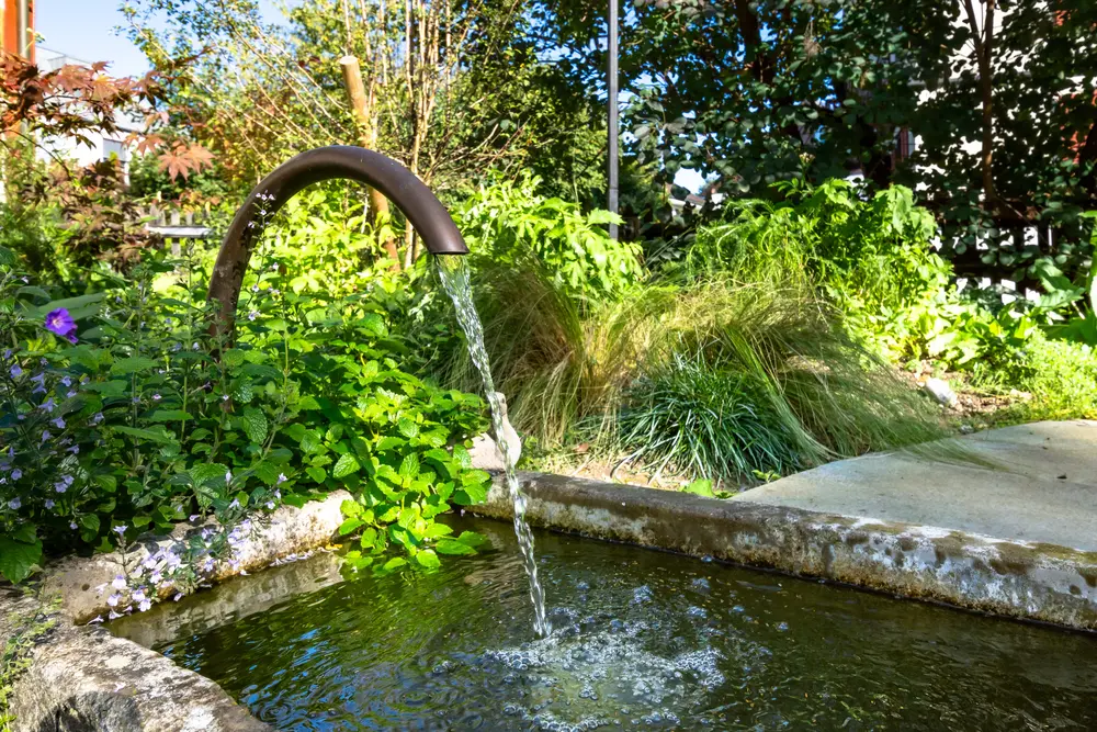 a0c00508-38bf-4b6a-9d14-20a196930150_original.jpg?c=31e2c1266bde41669b5877eff196bc28