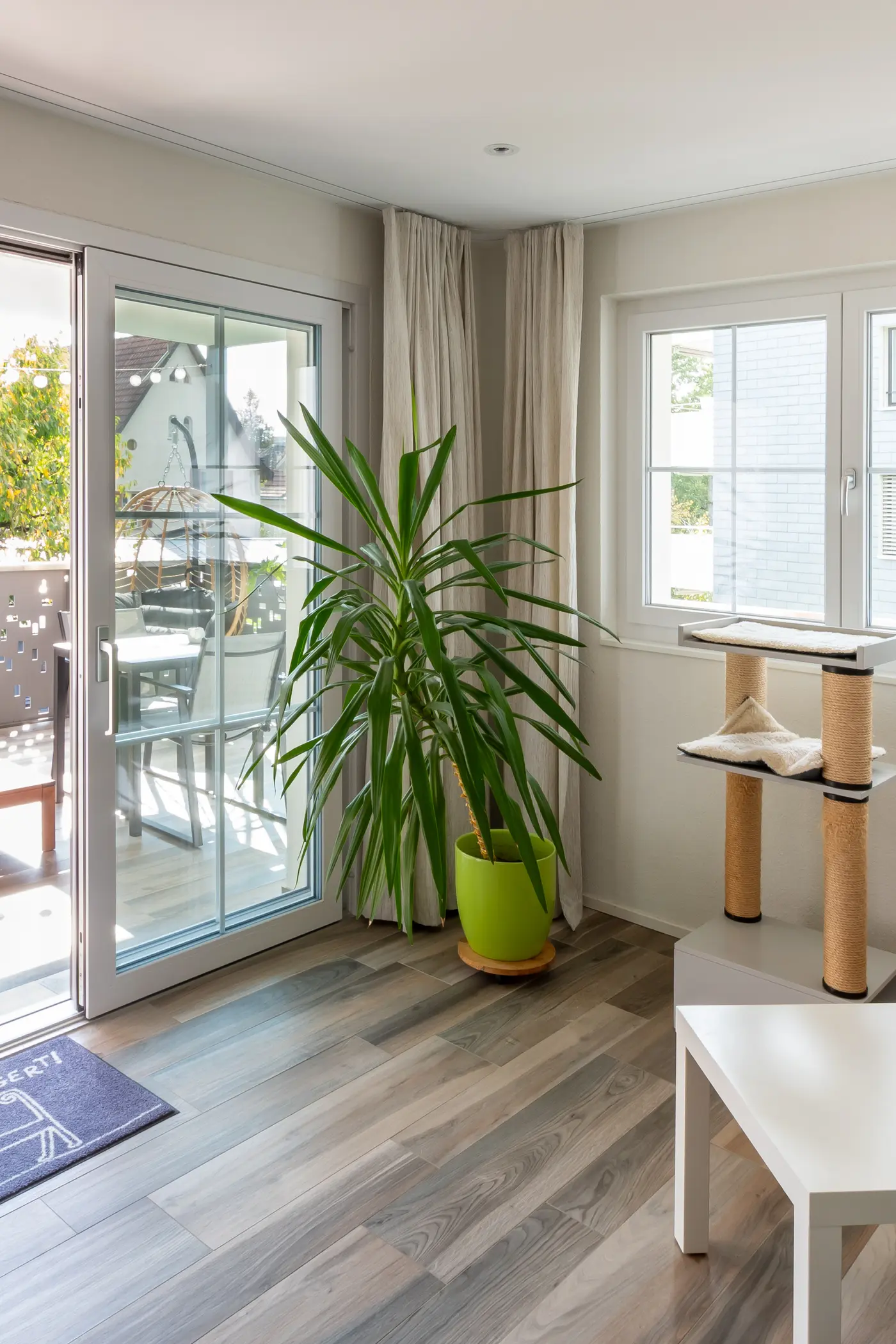 a24712dc-3ebb-47b9-bcd0-ec711af9ad34_original.jpg?c=d10b141c22ce4b57a1bc11468173d2d7