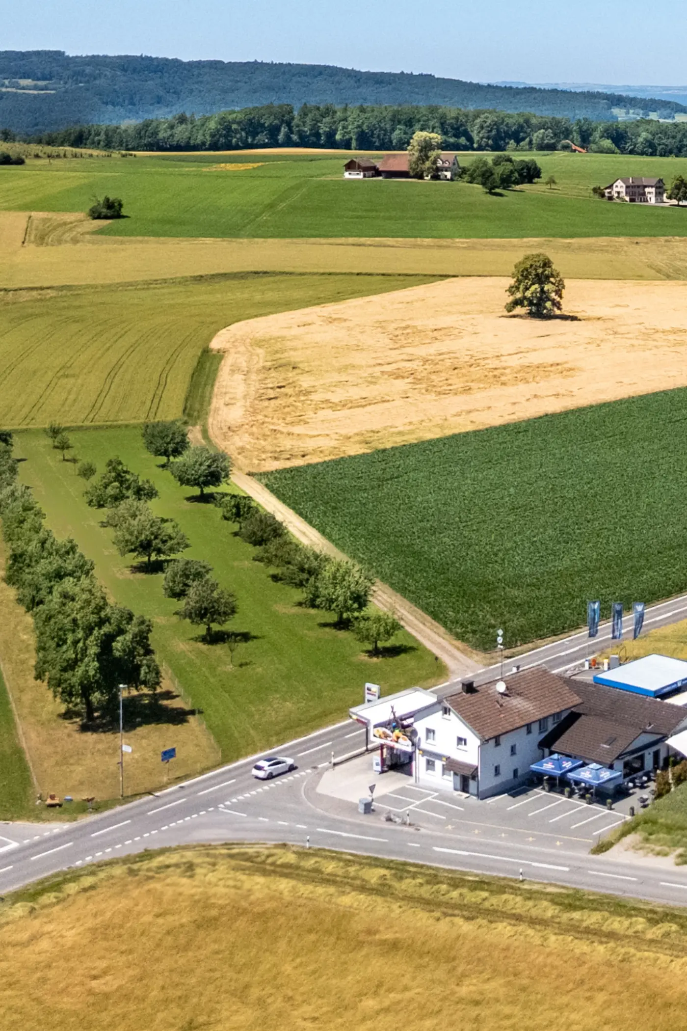 a5d0c324-b4de-4e9a-aa9b-d833275b1737_original.jpg?c=5459f4e5b997486d9860889d61e5f64c