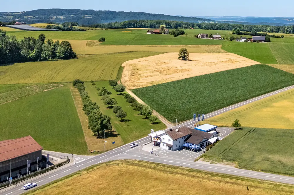 a5d0c324-b4de-4e9a-aa9b-d833275b1737_original.jpg?c=b75a0f0e23114a4a9a83ee4f81ed7635