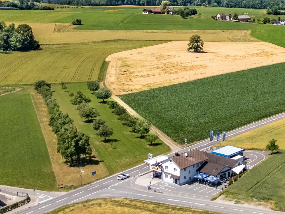 a5d0c324-b4de-4e9a-aa9b-d833275b1737_original.jpg?c=e1a5337eec4347f0bce3b659d6226272