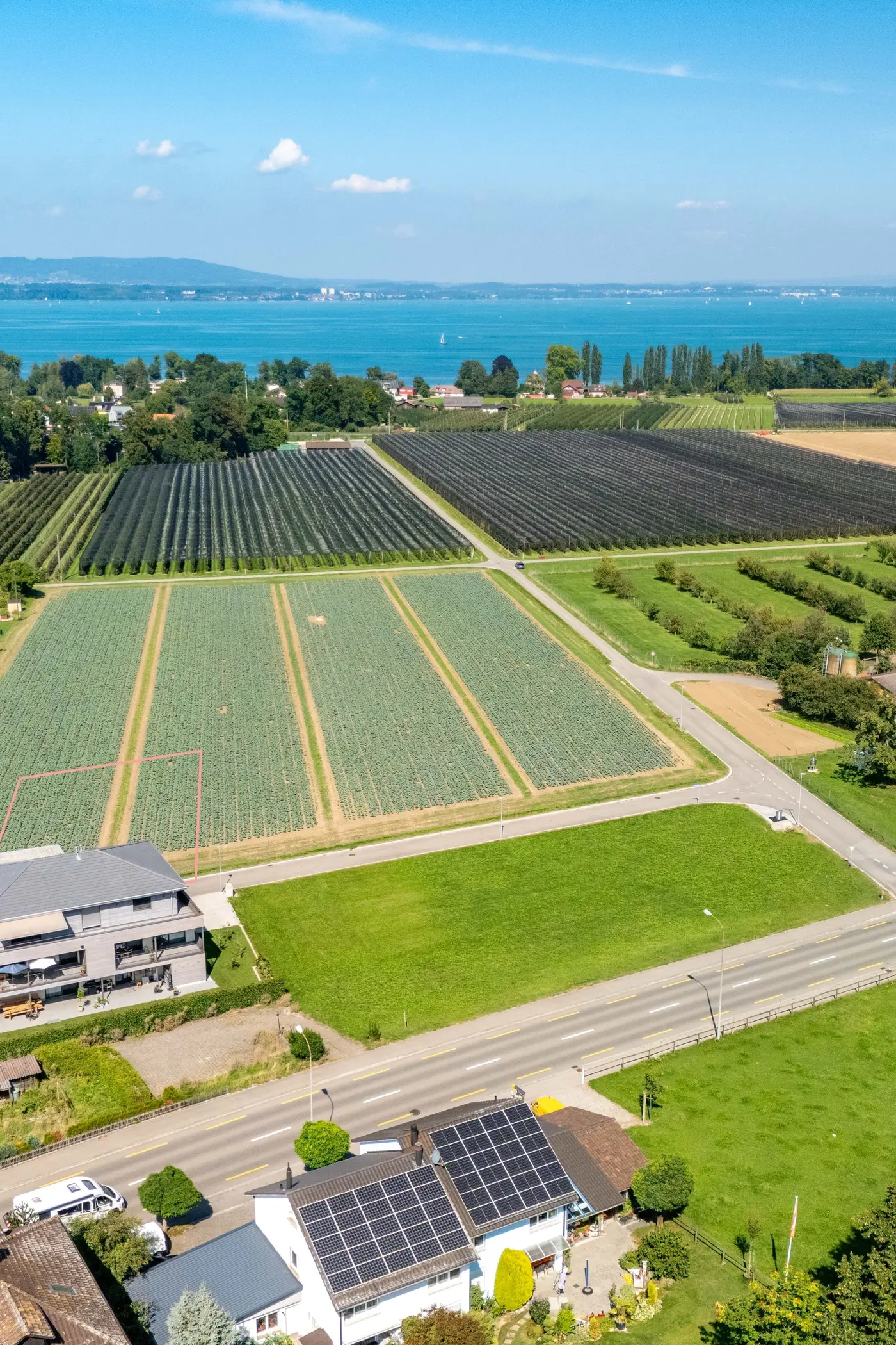 a6d69c04-9fb4-460c-866e-f8b573d3f455_original.jpg?c=f1b161529bb442a7b85bd950748cc960