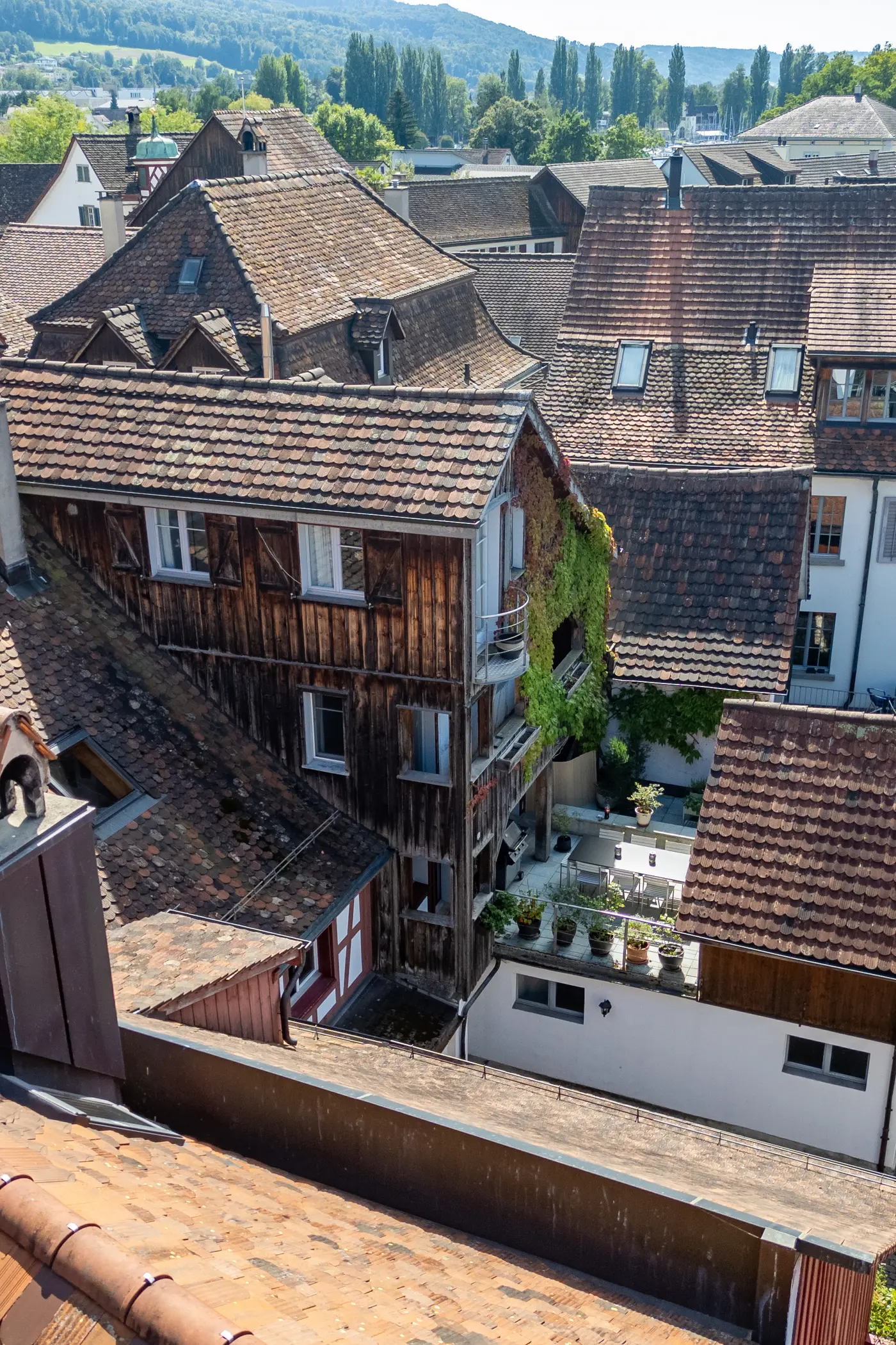 accf24f0-087a-4ba3-b07b-39aa15bd260e_original.jpg?c=d92d0f790380445a92c1411cbc19459b