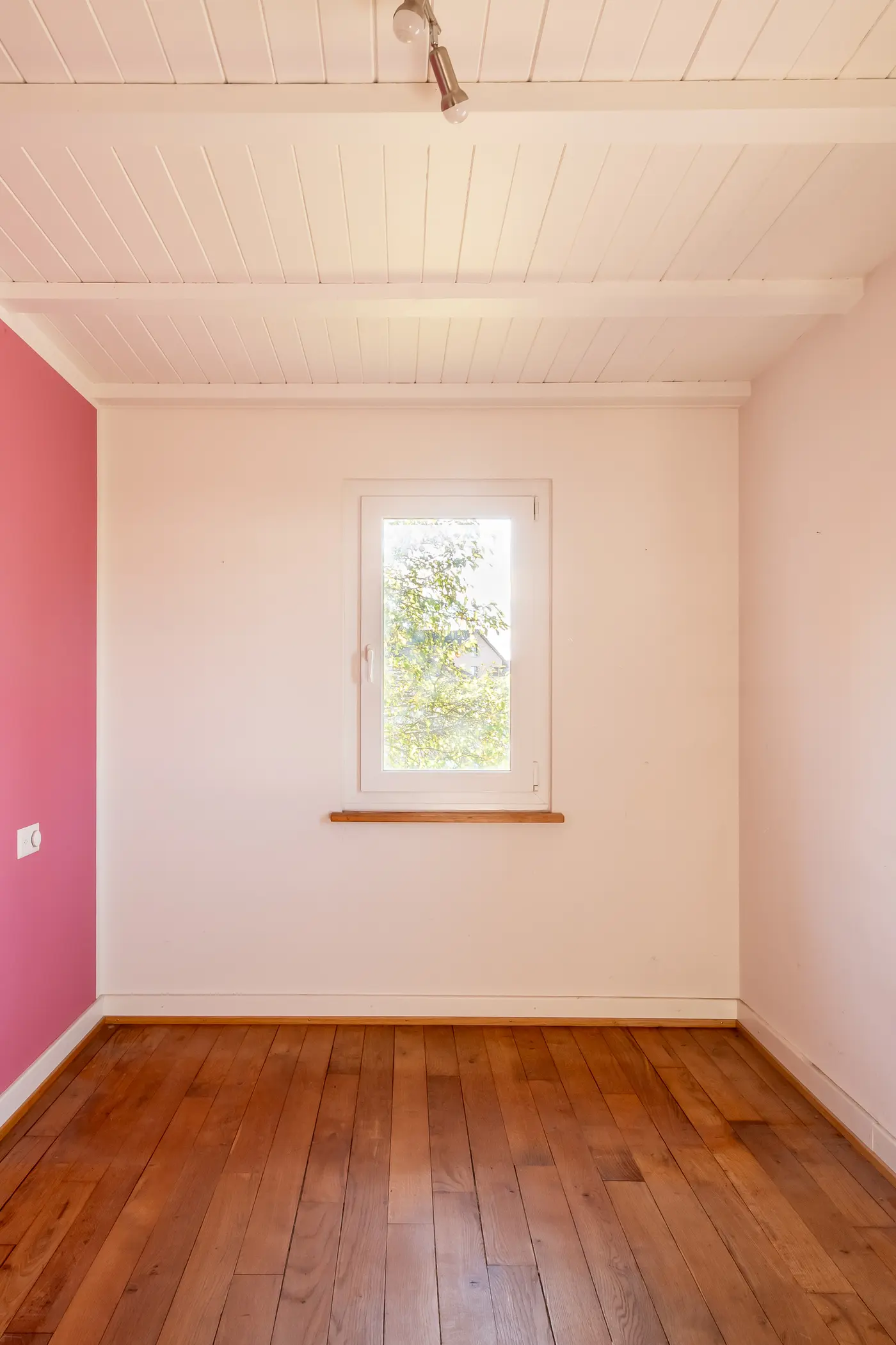 ae810b4b-bae4-4189-bdc9-fc763beccb0f_original.jpg?c=93c44c6c32df4ec69d0dbe45cc559af6