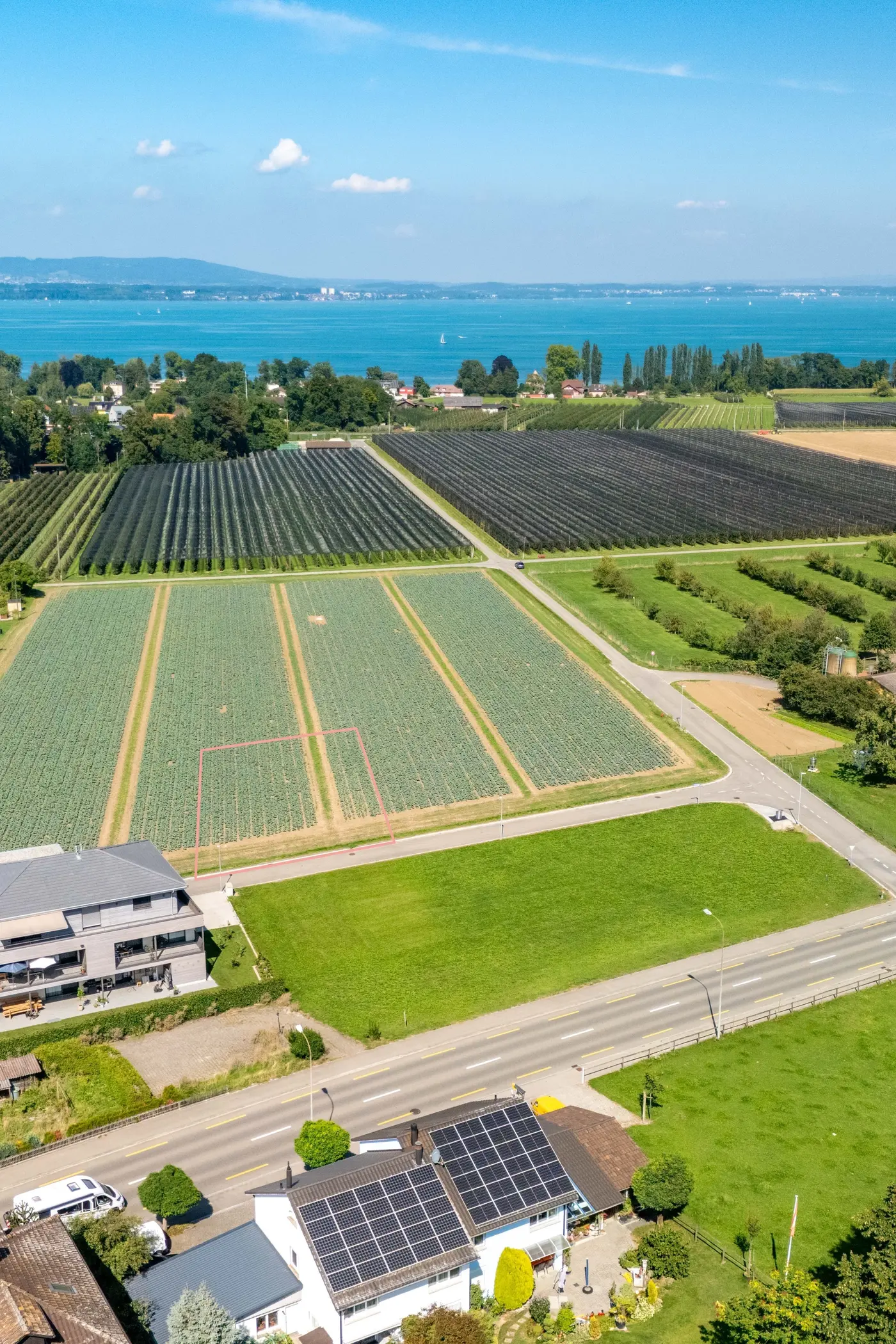 b045325b-8cc7-4d64-af64-c518b58cbfdb_original.jpg?c=abfe38fc649046e0b945cddfc805b53a