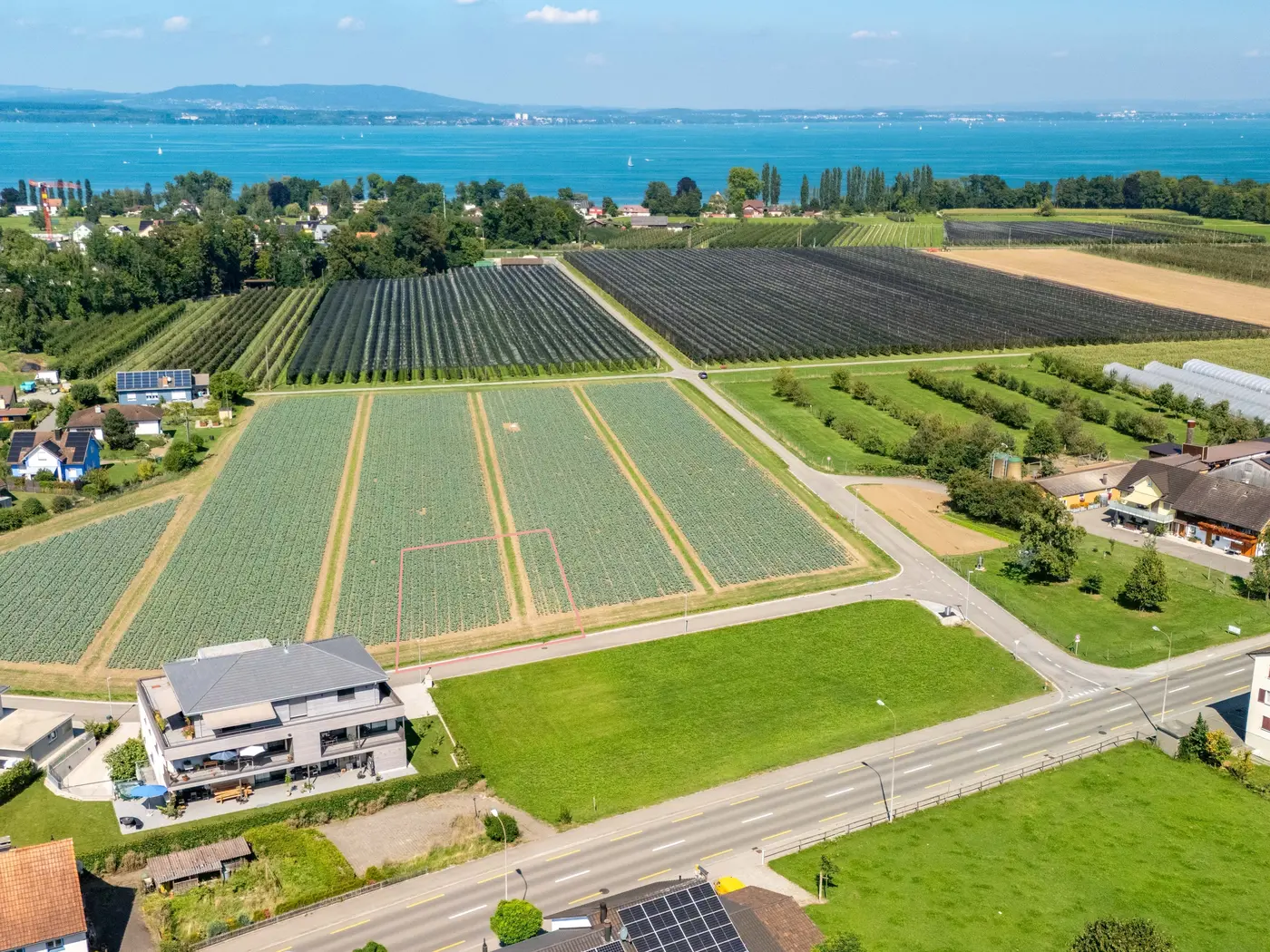 b045325b-8cc7-4d64-af64-c518b58cbfdb_original.jpg?c=c368b2b82bc542b7bb8a55c09a81ad53