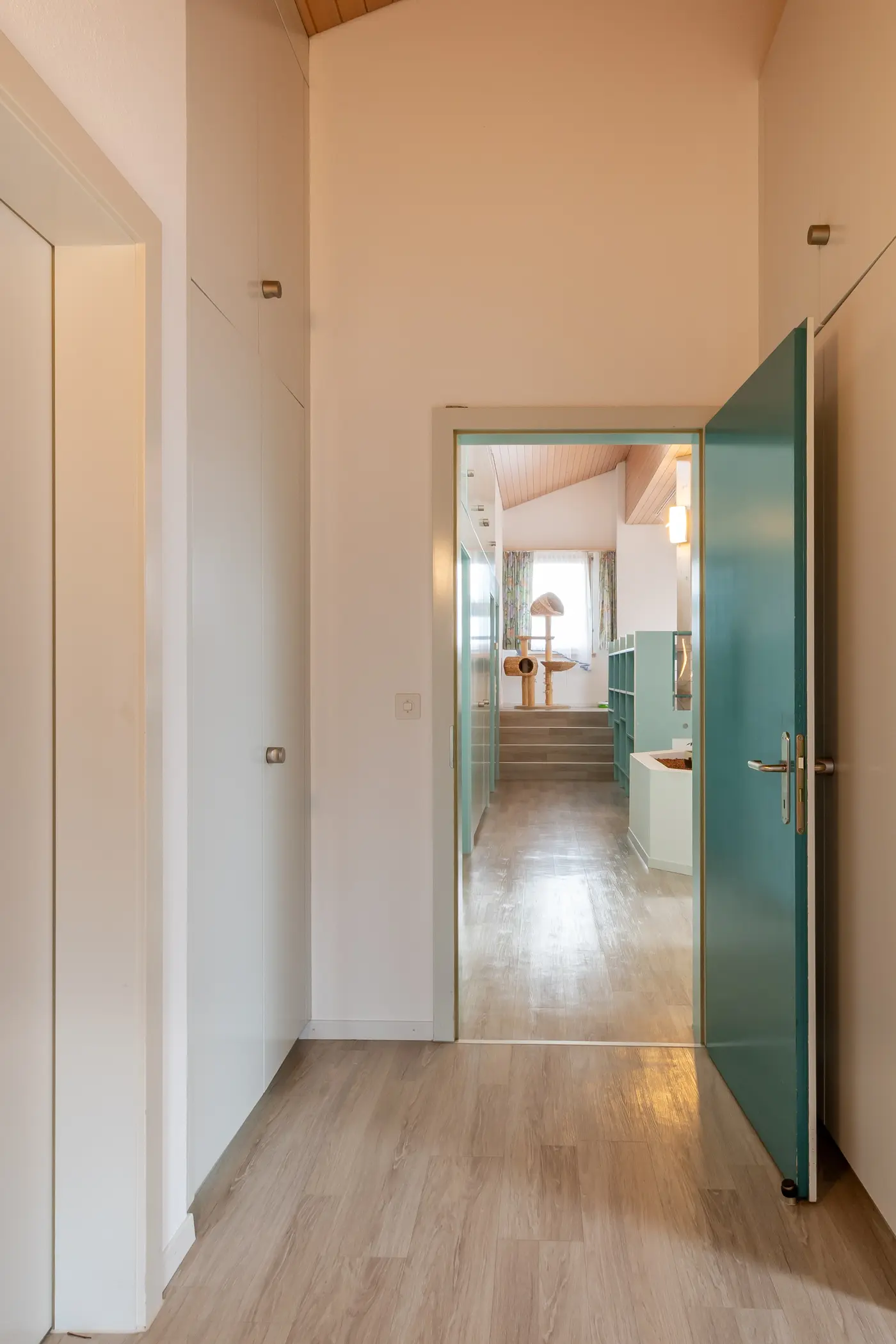 b473593c-ee44-433d-8157-92cc6471f4ec_original.jpg?c=7ca1a91c7cd046a3932c2a86a3c1f52f