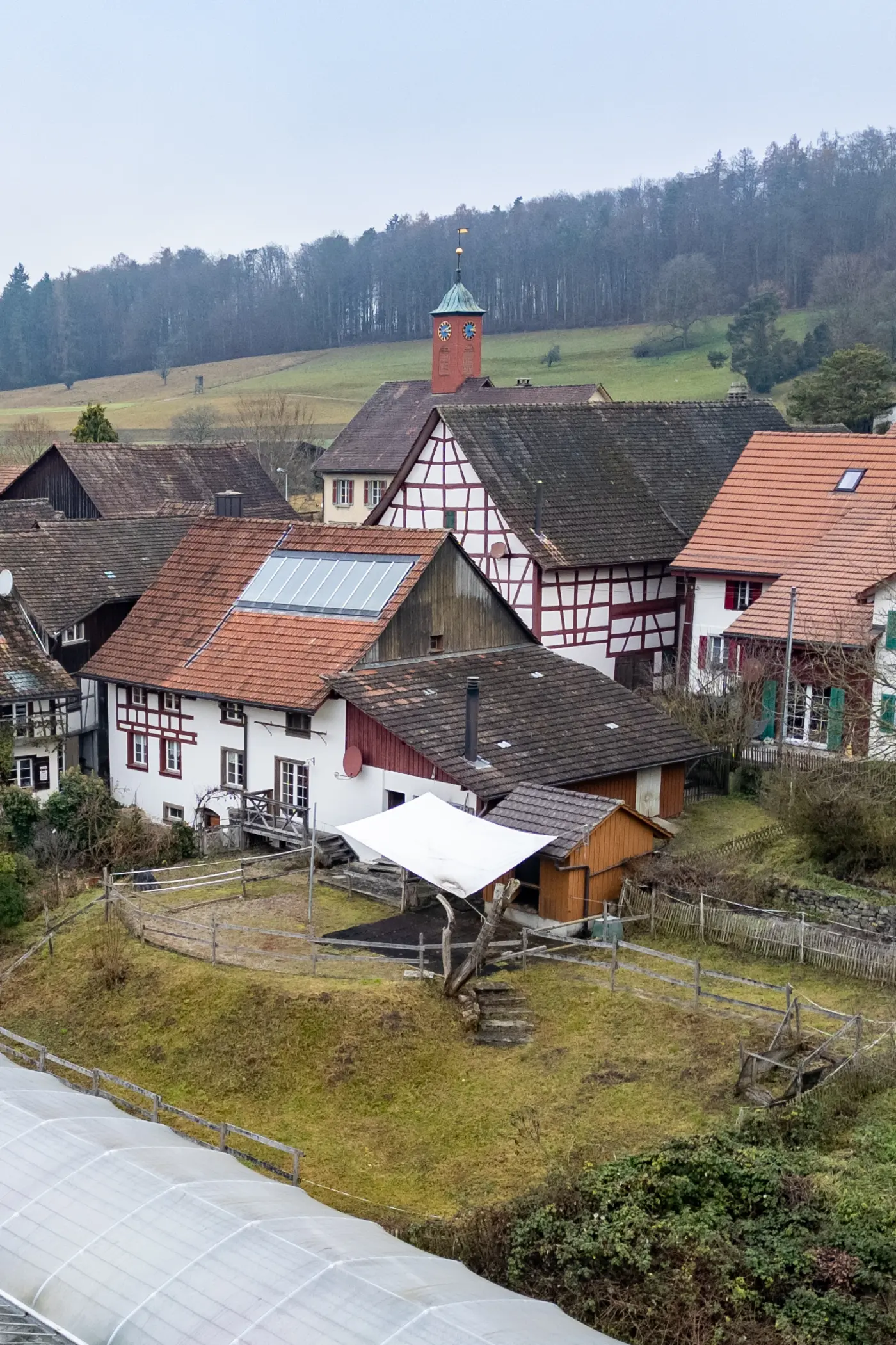 b824c557-0a40-441a-b961-0d6b343dd959_original.jpg?c=b35f7d1a0dcd44b0acdf540f130c495e