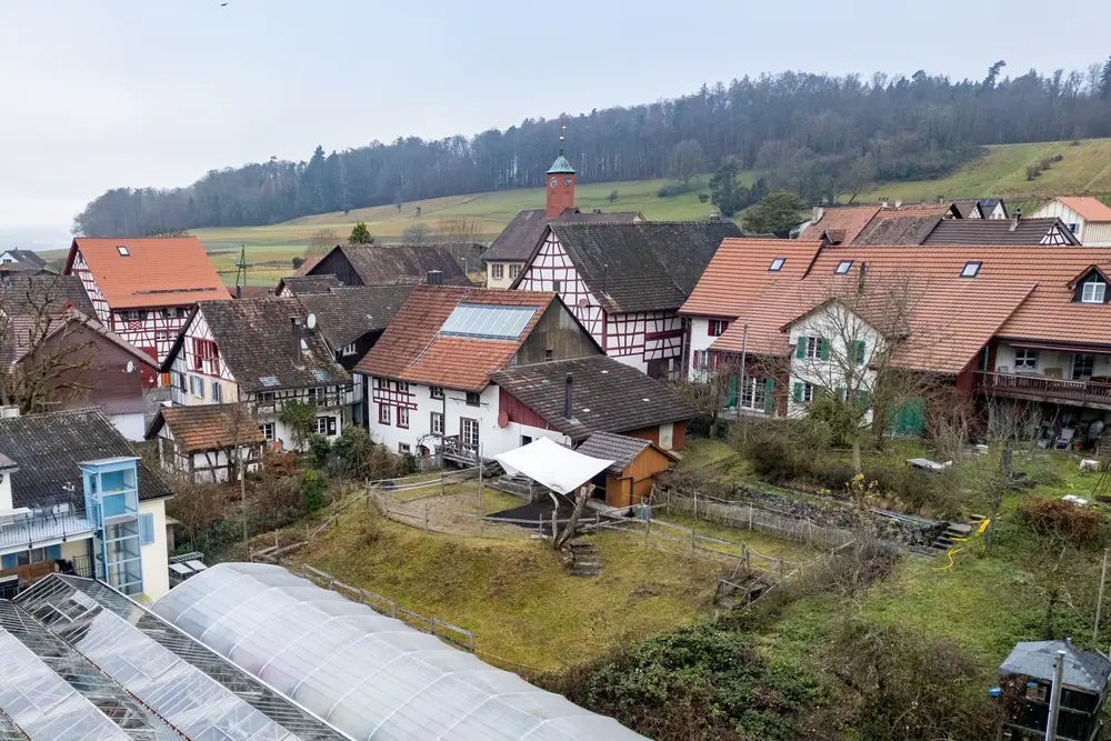 b824c557-0a40-441a-b961-0d6b343dd959_original.jpg?c=f0287e449cfb4a0ab94ac722873cb755