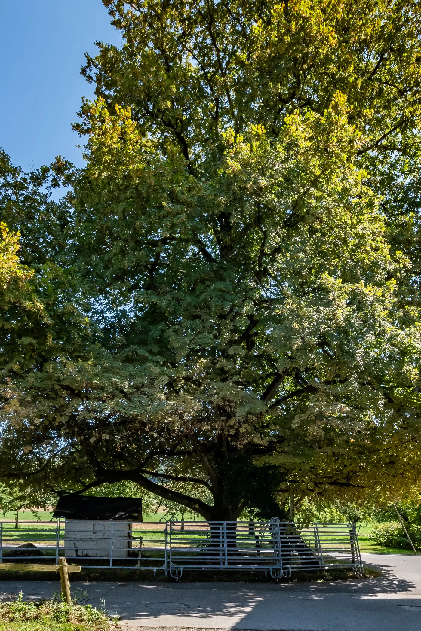 b9be7c7a-d7a0-4098-b3e8-b395634efe80_original.jpg?c=e652f4159e994118b3de2dfed4215632