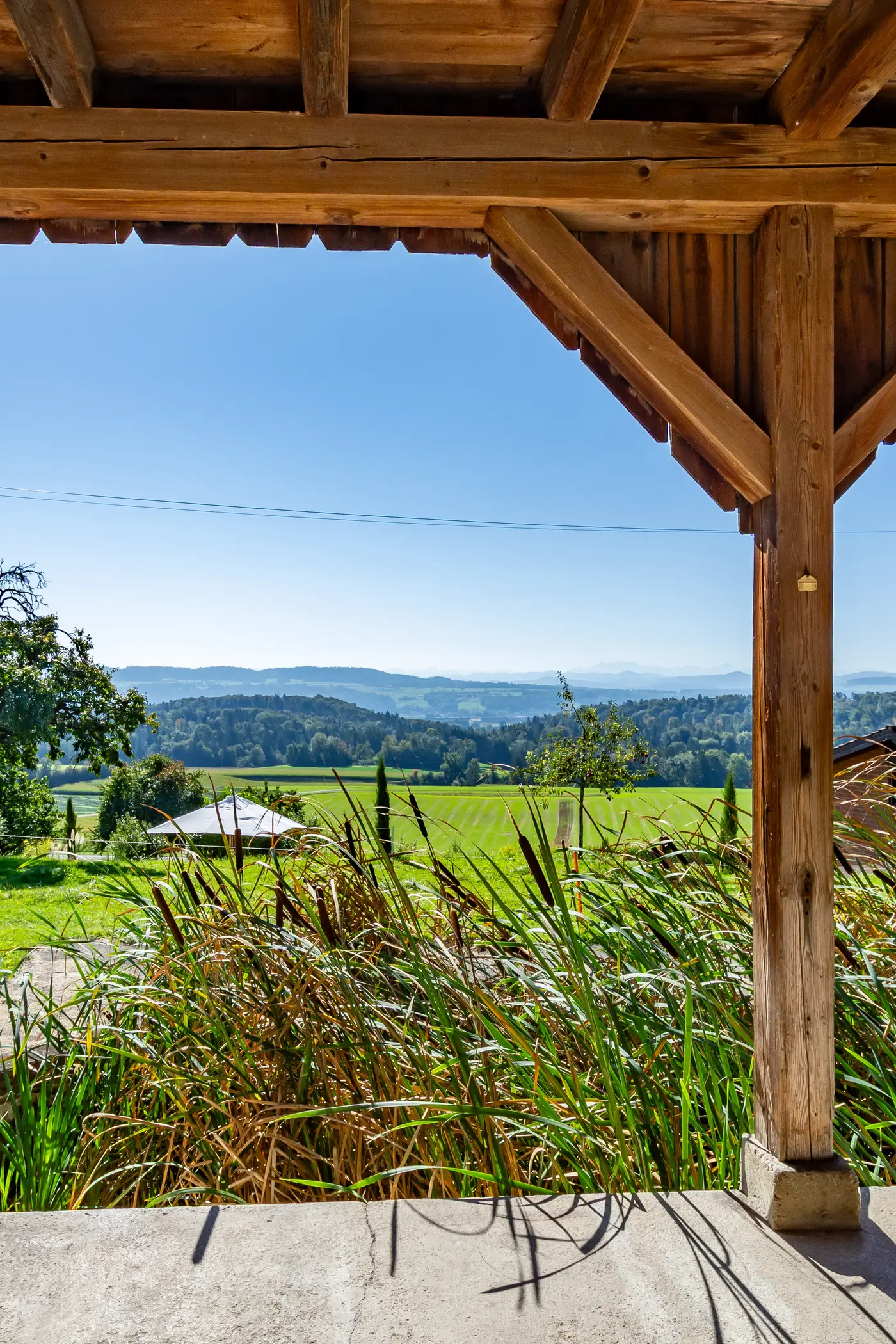 bac71f40-4305-4ba3-8206-4a5a6cbe5a8d_original.jpg?c=a29ce58dad4240d9a49037b0a5f68ef1