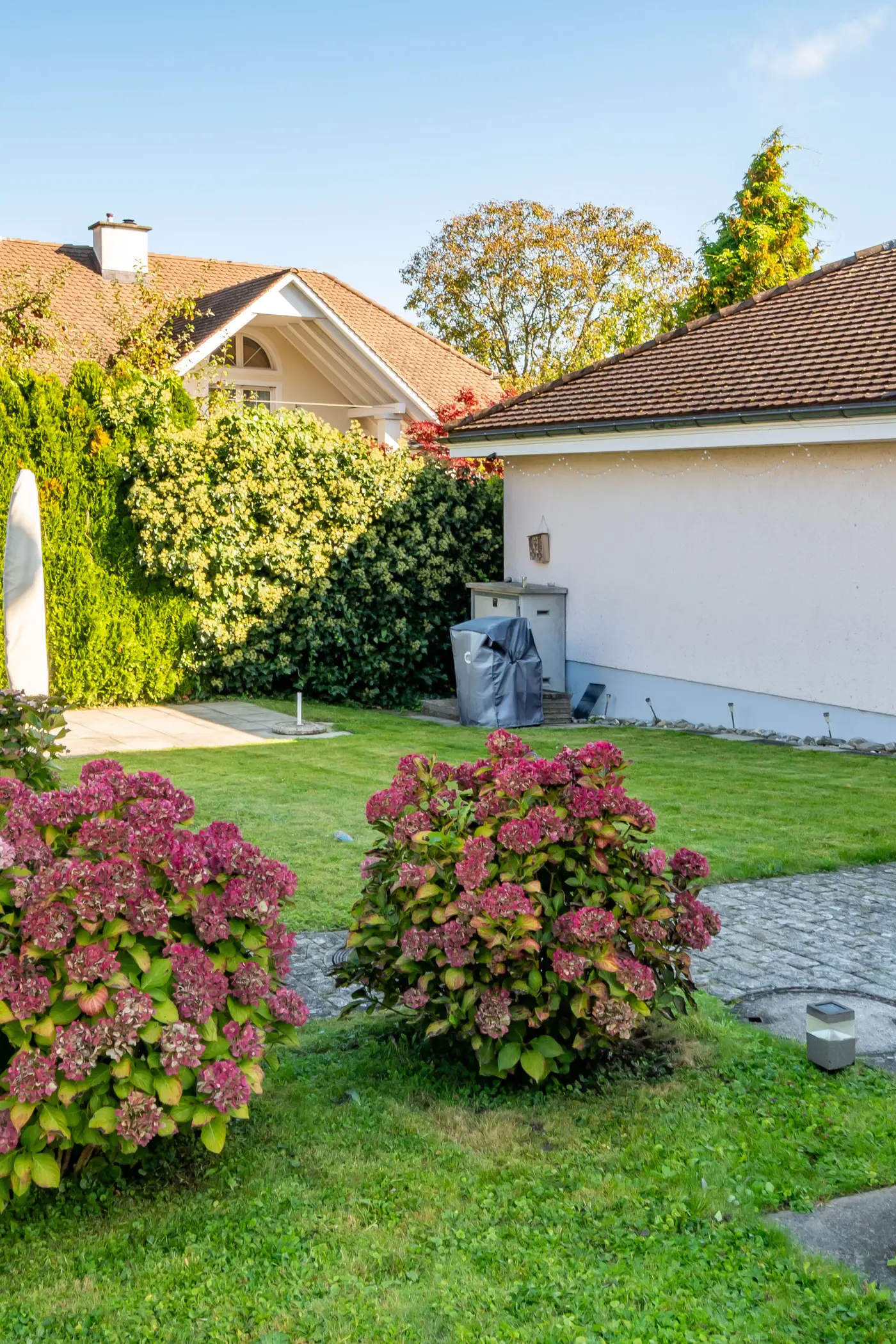 bcaf9e58-dc0a-494d-8f86-aa7c7e40a8cf_original.jpg?c=bec9583b9fec4c90a0950d8b7b7d3408