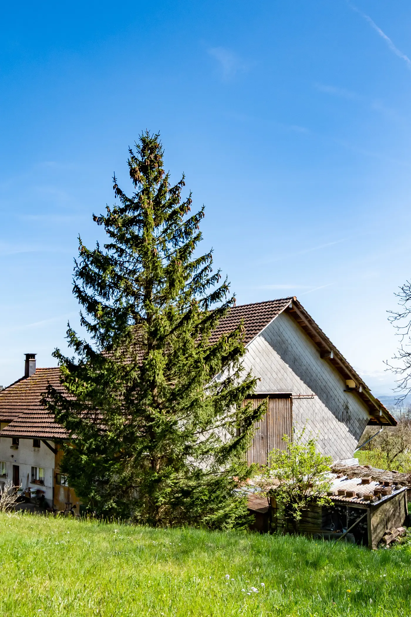 c48e0e02-6d1a-491d-bb2f-9442fcf14dc9_original.jpg?c=5853c9ac4f9242dba29fea418dfac8f6