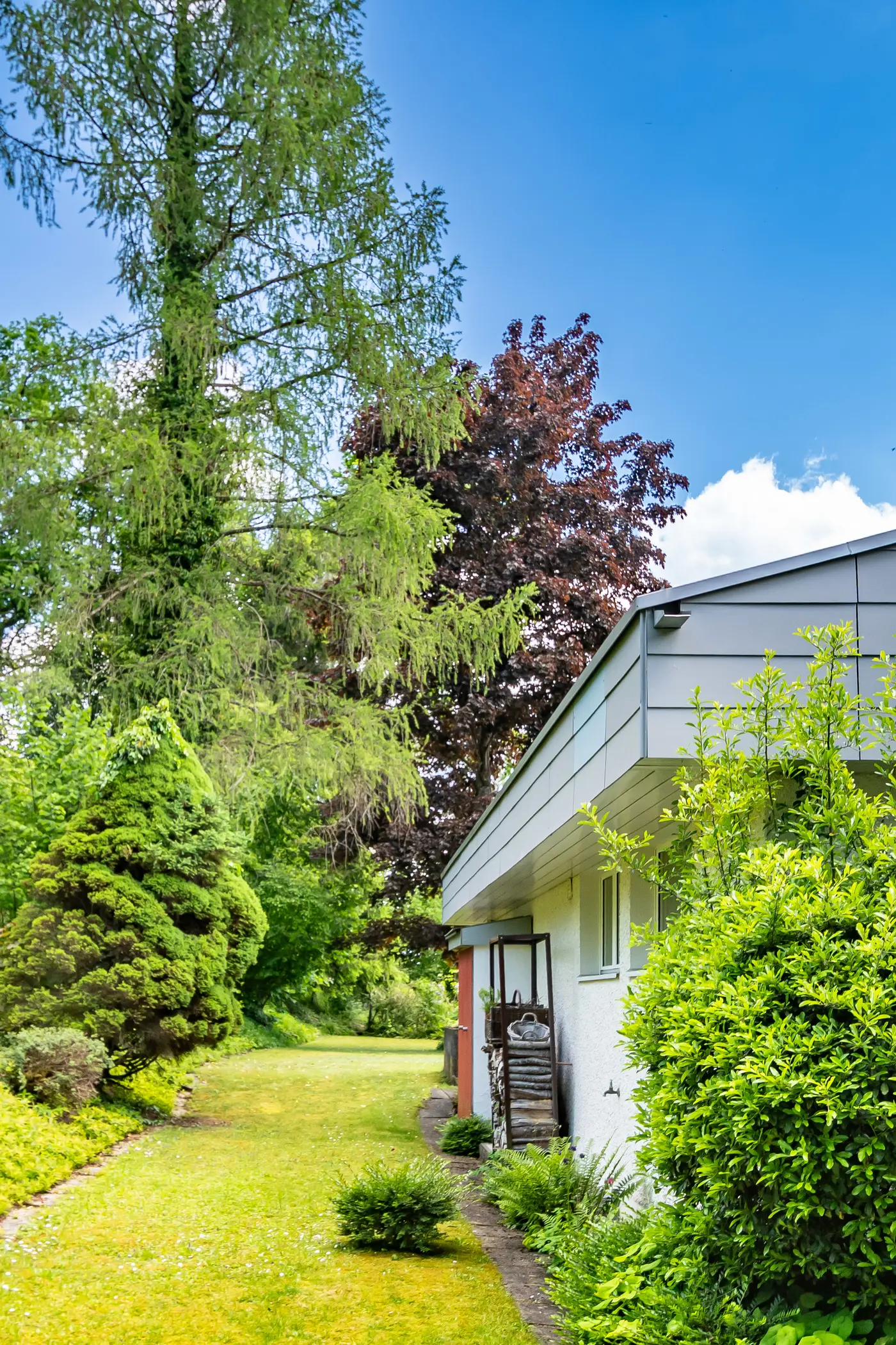 c556c5be-5ce7-492b-a636-669750b2c2e2_original.jpg?c=3919a3108b934cedb079520e7d1640f1