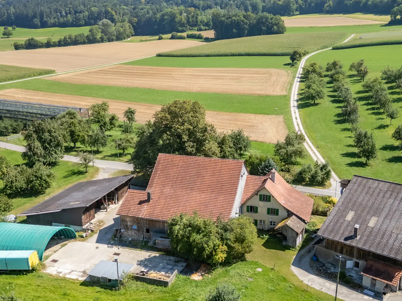 c6e58b5f-0b21-4335-9cdd-71fc93cfec58_original.jpg?c=837be7b103214ceaa03c284e515f1e6b