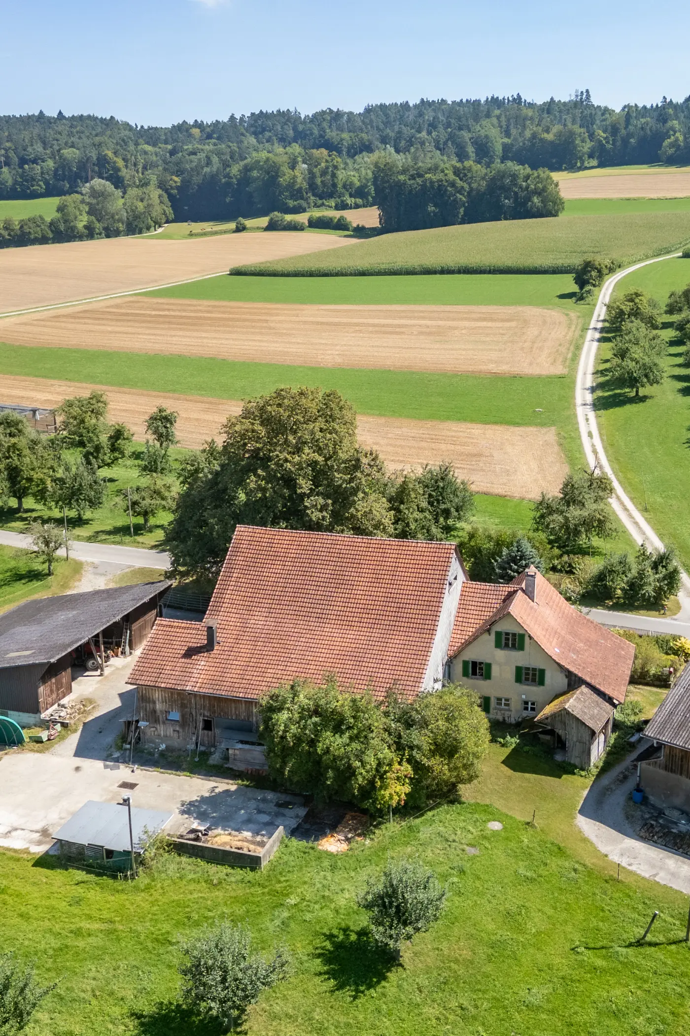 c6e58b5f-0b21-4335-9cdd-71fc93cfec58_original.jpg?c=d9f4acea94ec41c59495e95a59be6ca0