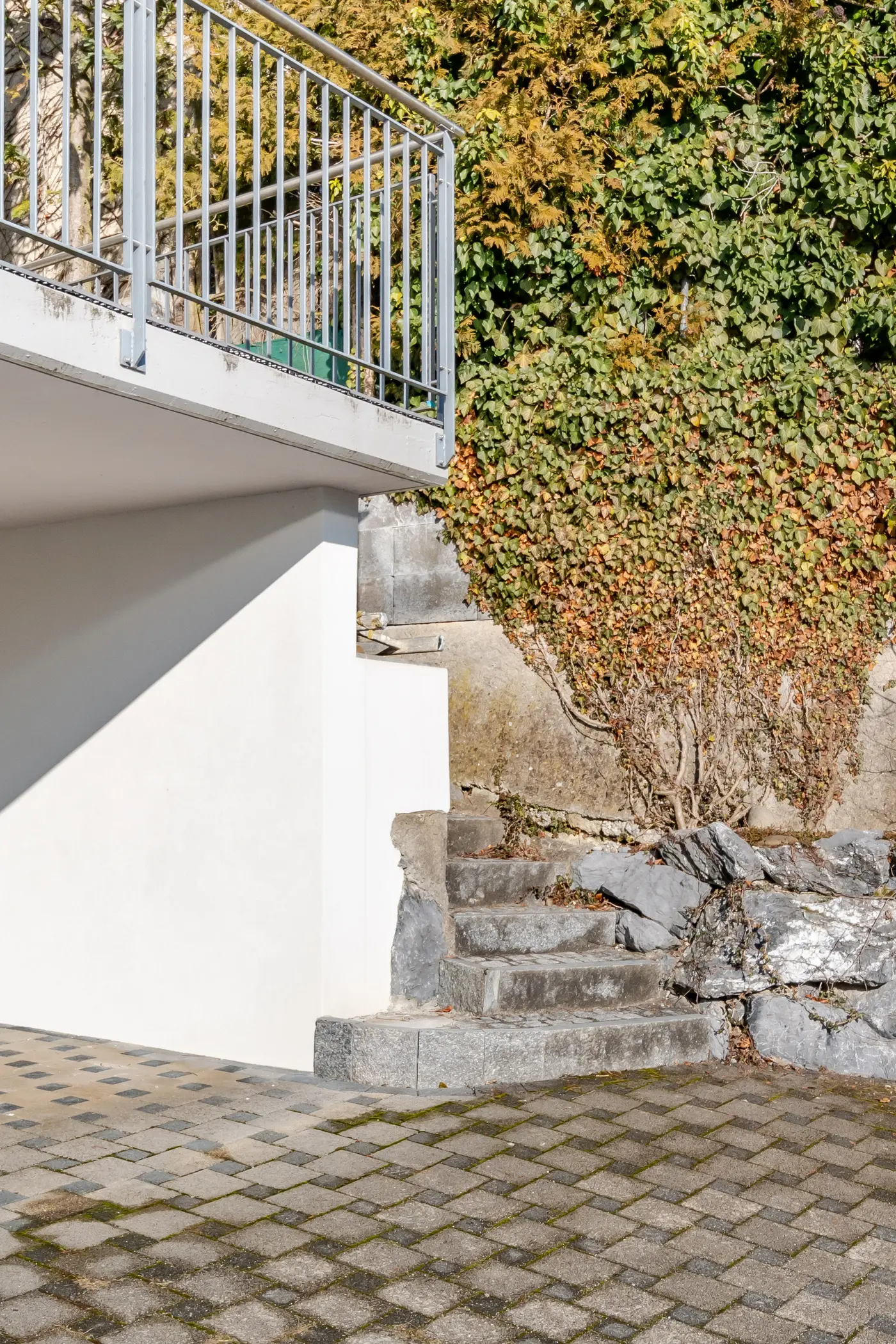 ca203c79-b28b-4e23-86fe-3ee0697b1f01_original.jpg?c=a5d088b46e5442a9b971c756aa4e65a9