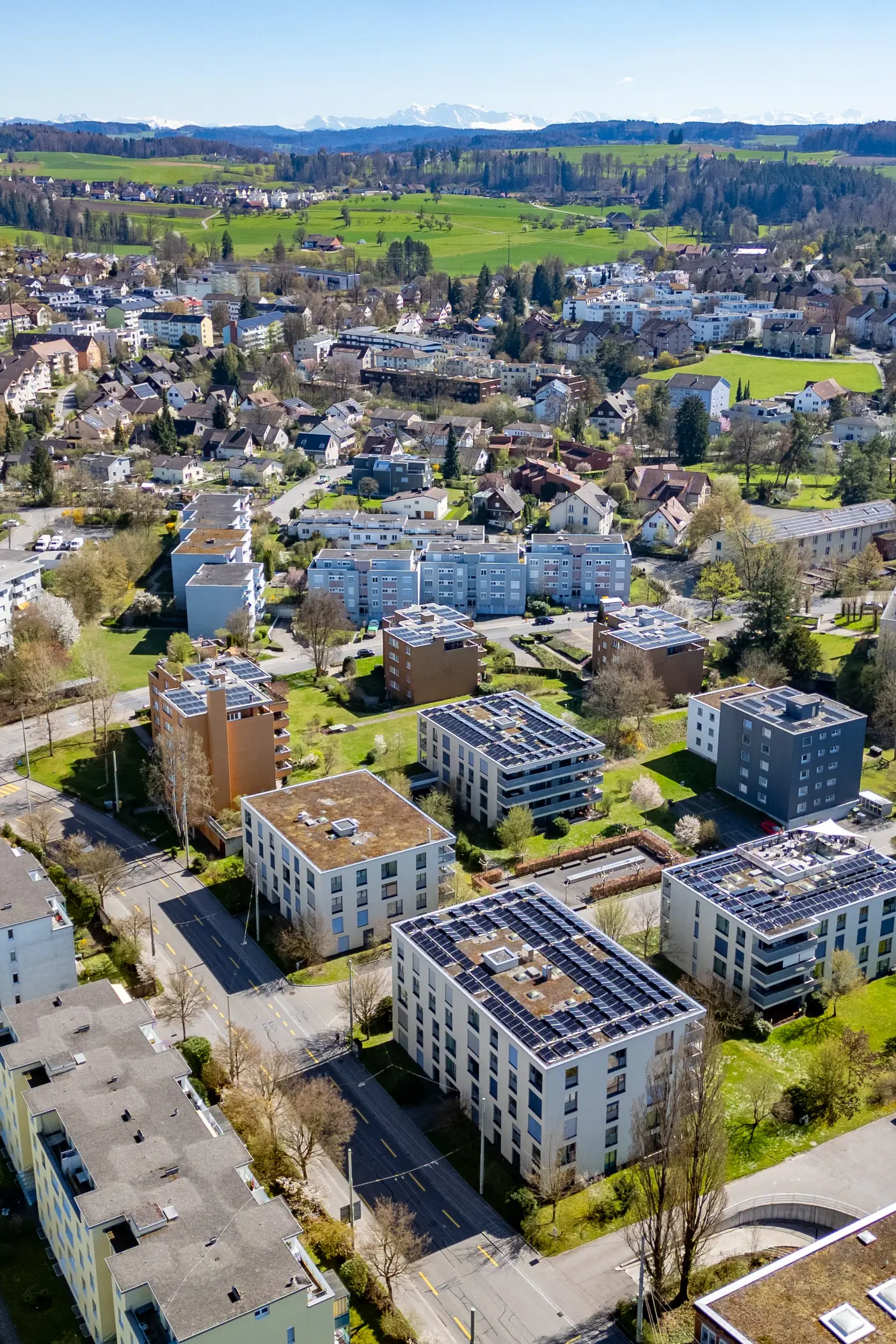 ca97c165-8aa6-4491-a10b-9dd19c022137_original.jpg?c=2bd2a63921244ce2a8fcc70f07387c74