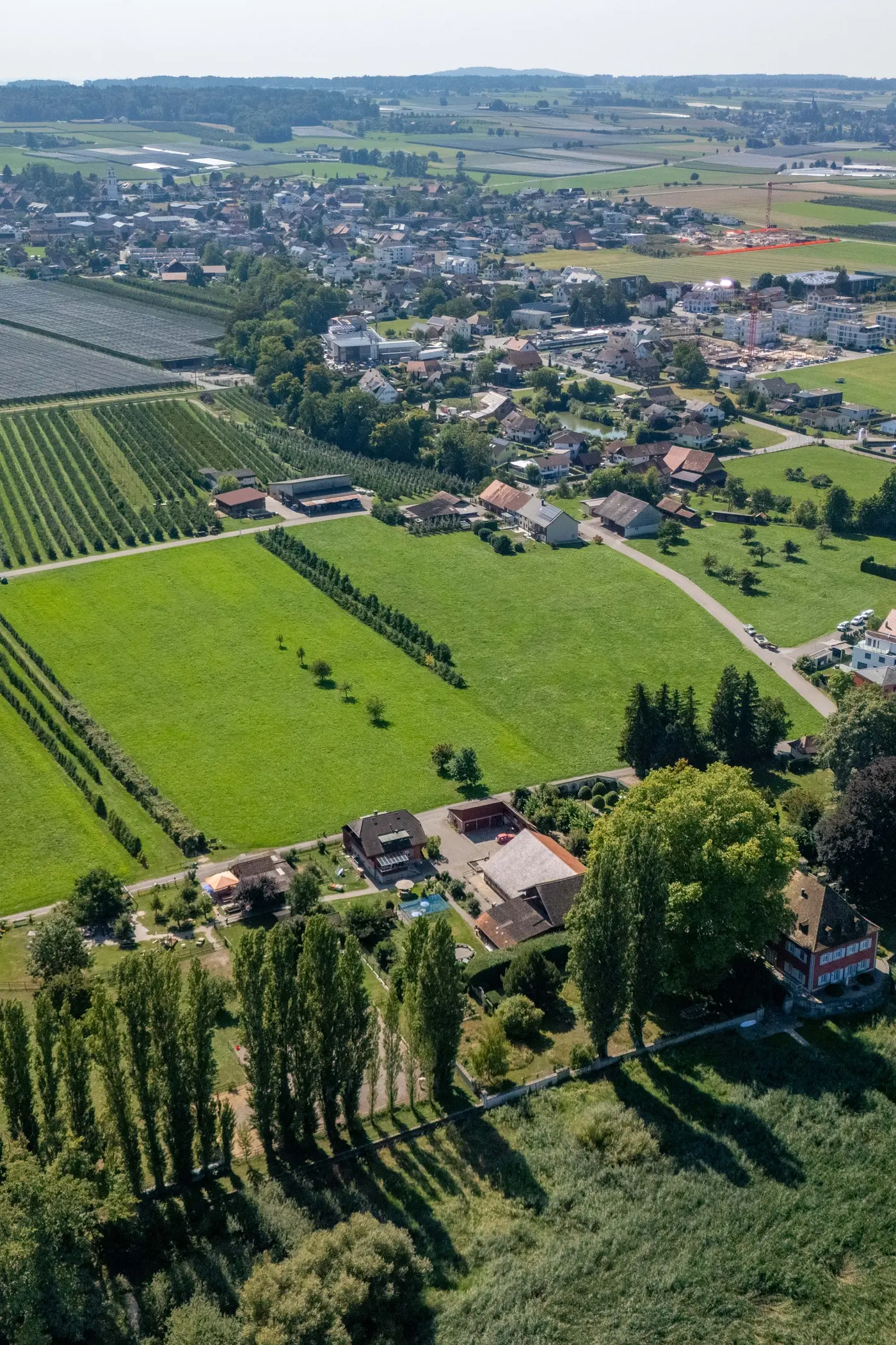 cd1072fc-b786-4928-a24e-27c9bb92067f_original.jpg?c=177b4ae9ea214fcd819f330d6b118293