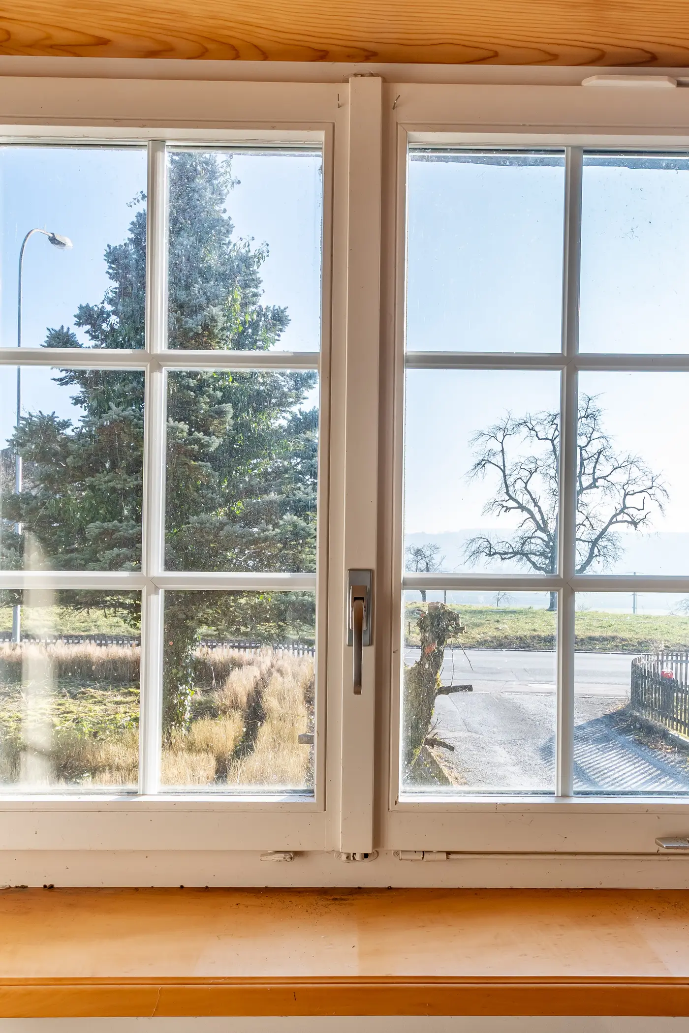 cd4a372a-8d33-4e4f-a8e5-8e00f0635d70_original.jpg?c=0e6d5a74b6c2463cafbbaee85ff9dd3a